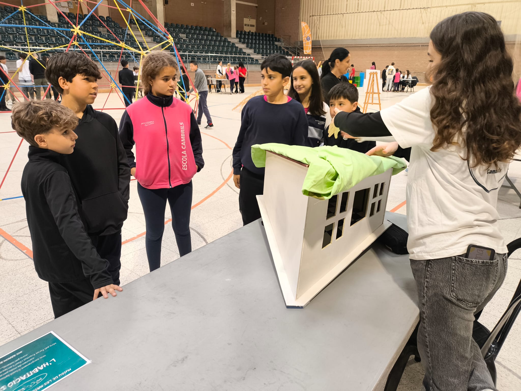 WhatsApp Image 2025-03-17 at 19.31.16 (1)