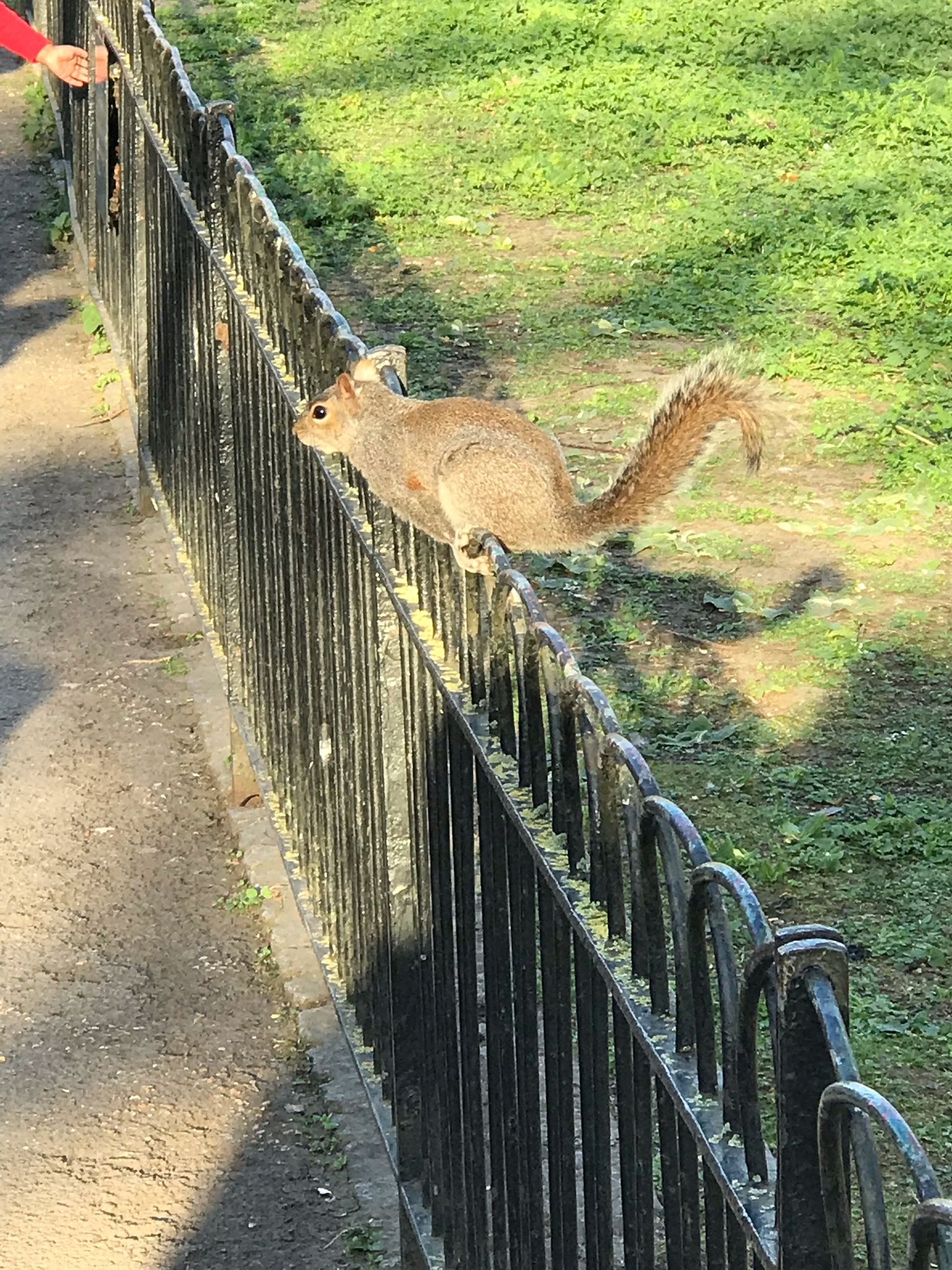 Imatge de WhatsApp 2025-03-31 a les 19.13.31_f29f21d2