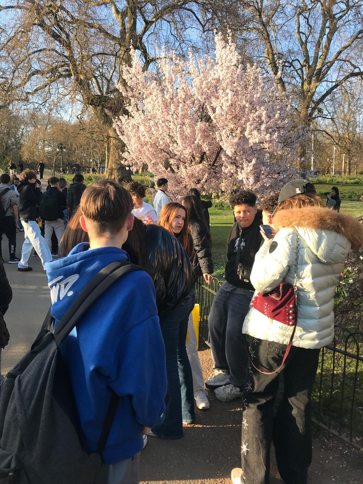 Imatge de WhatsApp 2025-04-04 a les 20.02.54_20cbbd5d