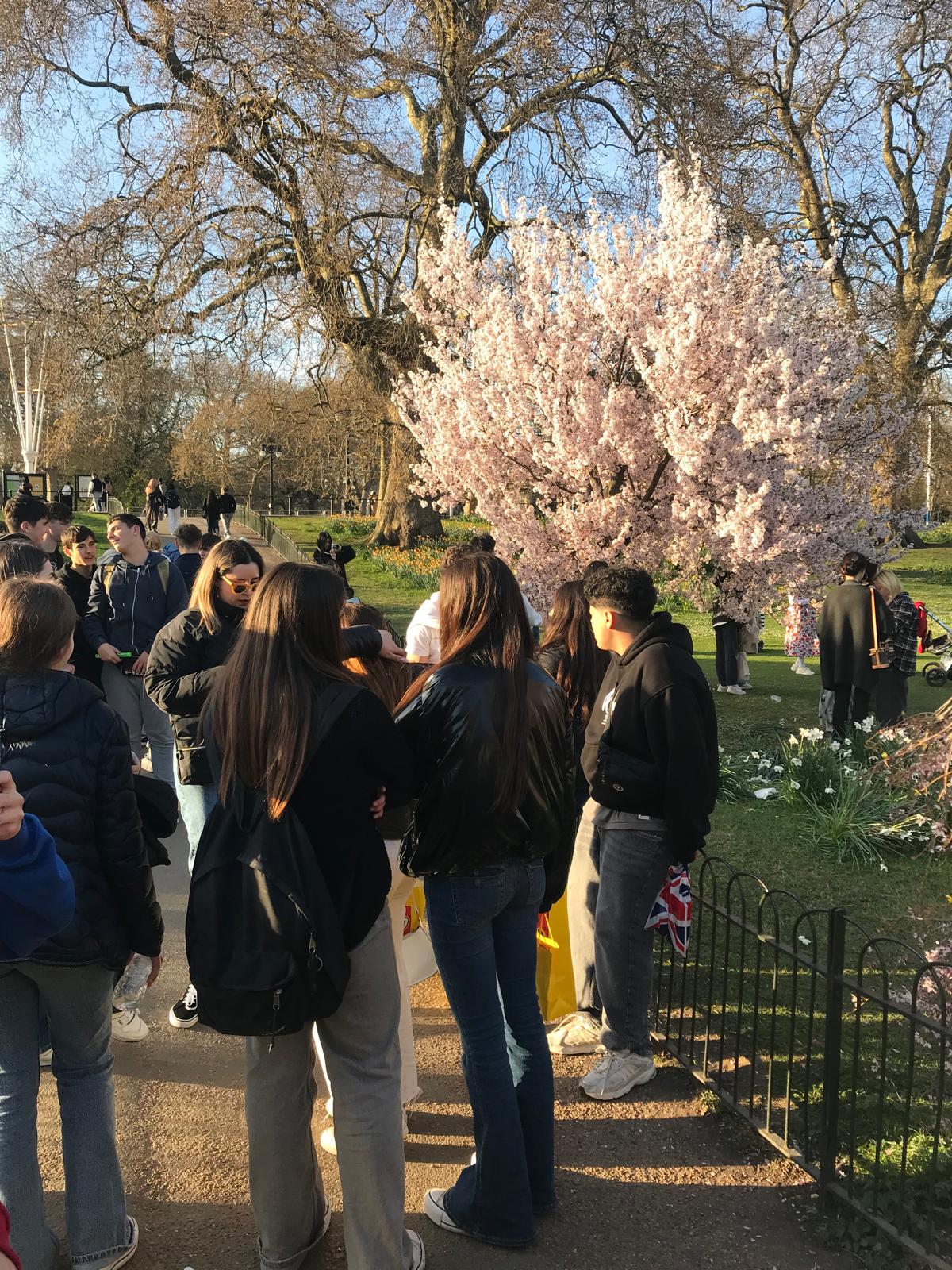 Imatge de WhatsApp 2025-04-04 a les 20.02.54_3877ff63