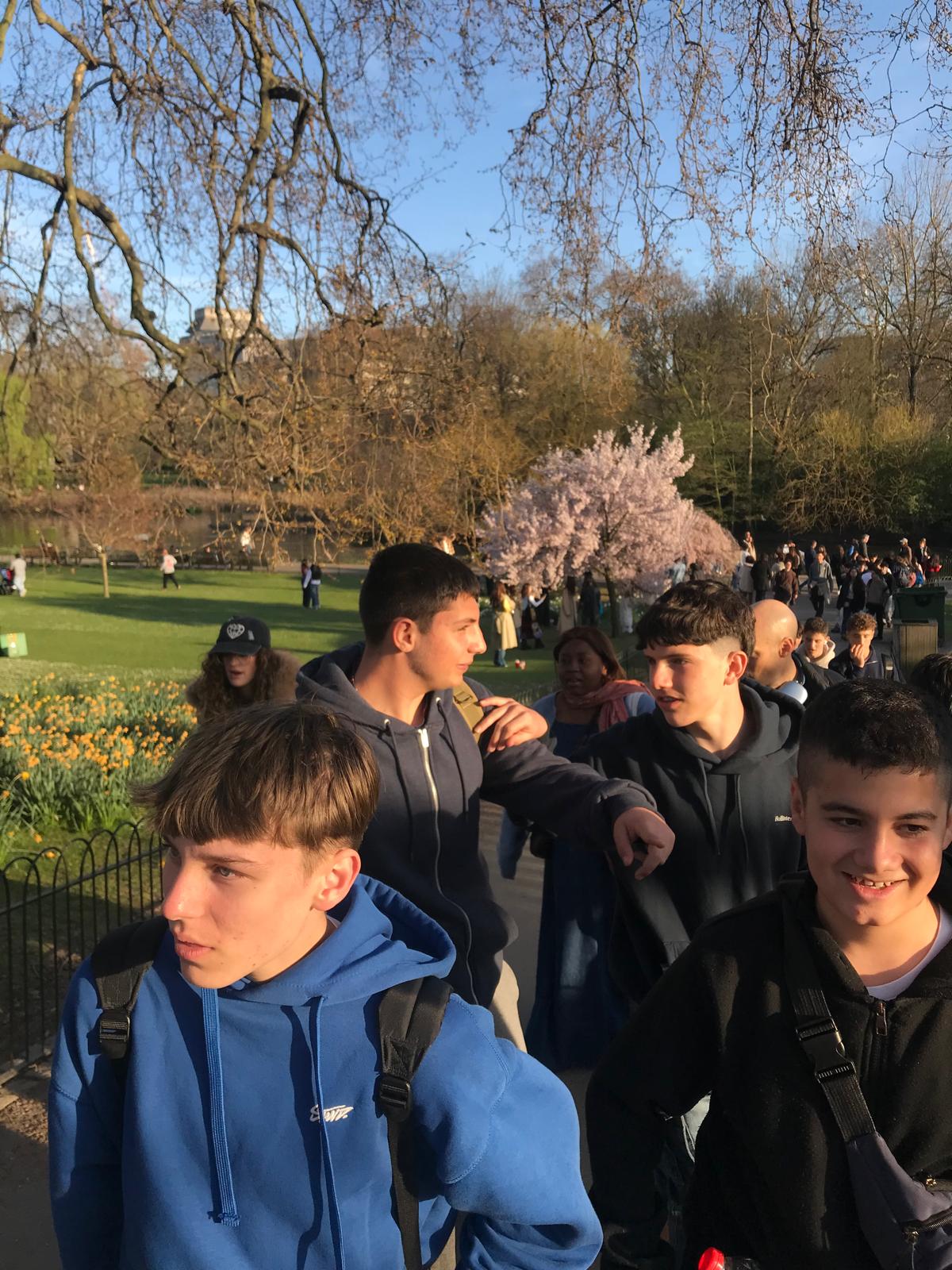 Imatge de WhatsApp 2025-04-04 a les 20.02.54_57234bca