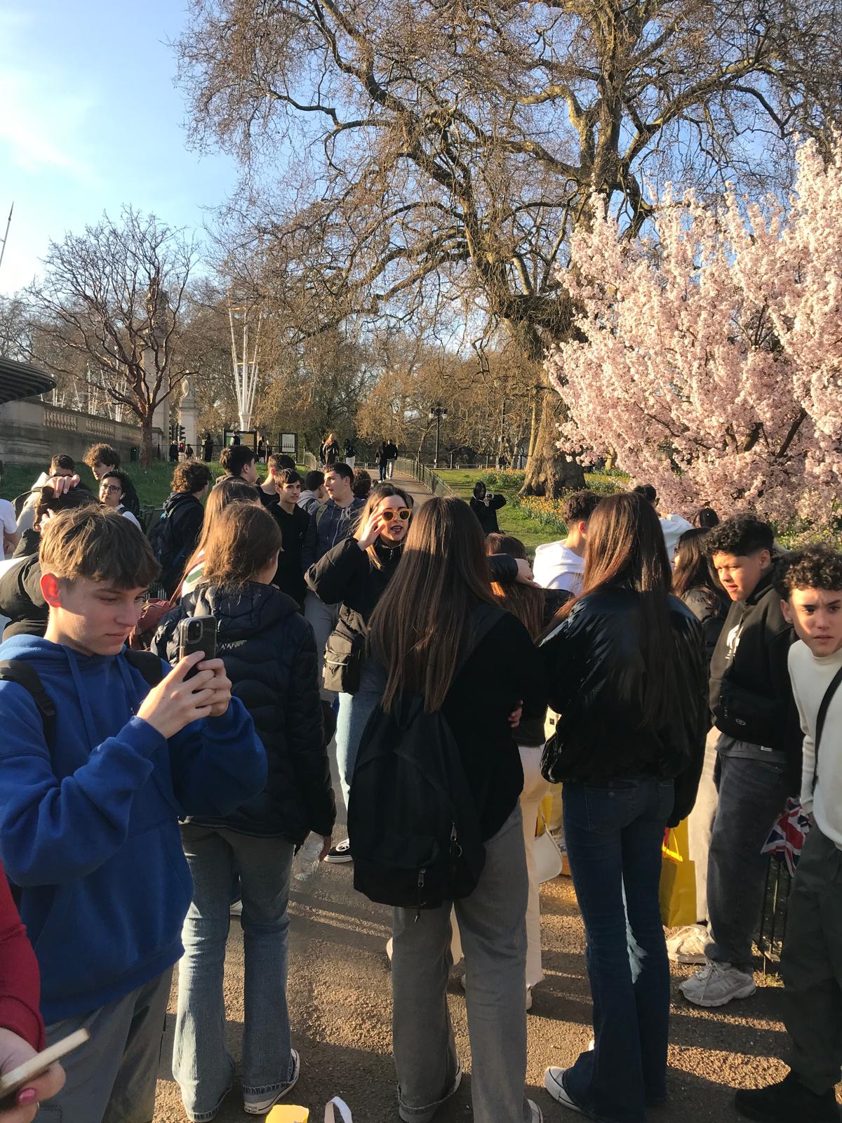 Imatge de WhatsApp 2025-04-04 a les 20.02.54_e76466e3