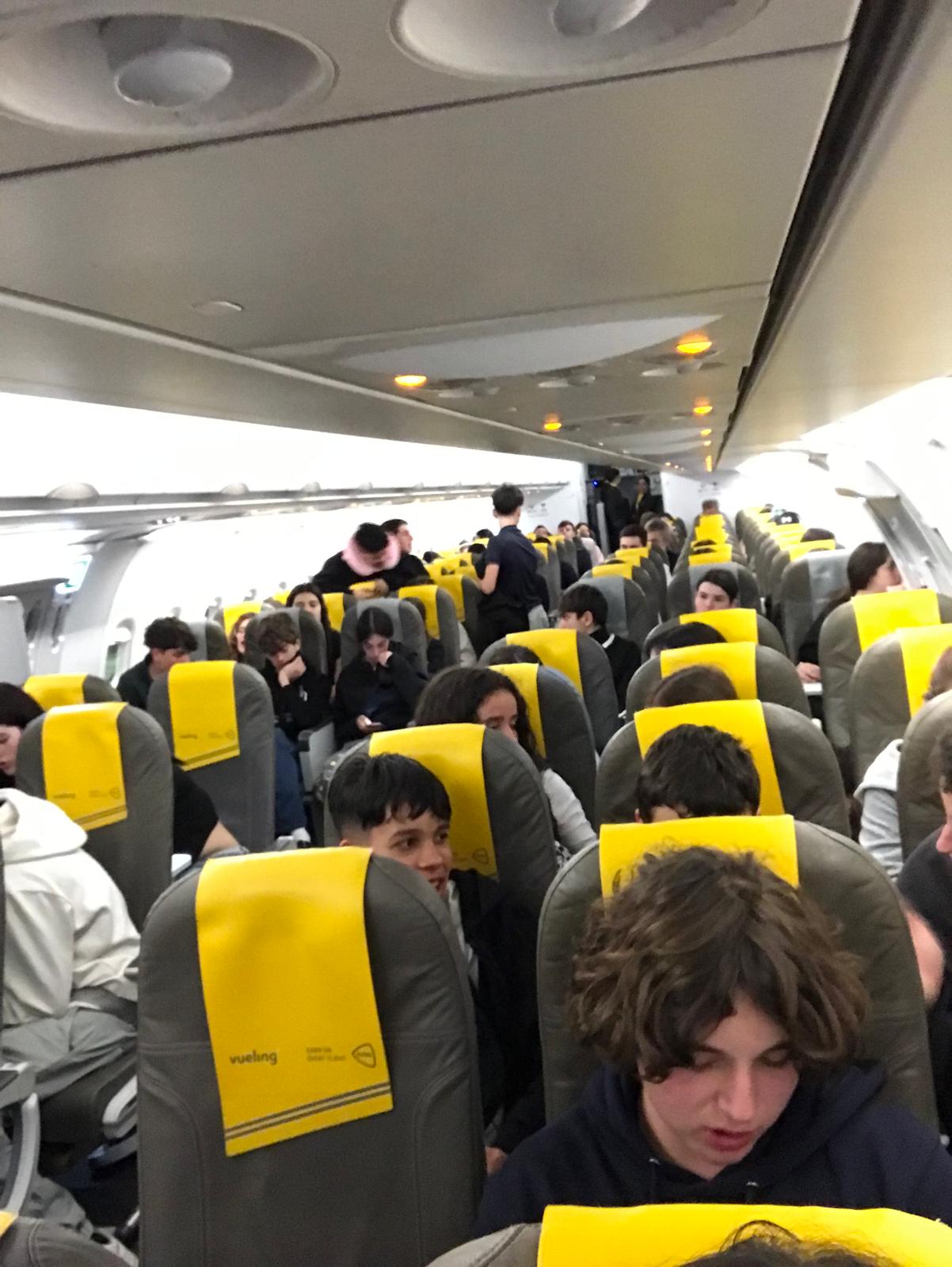 Imatge de WhatsApp 2025-04-04 a les 20.07.25_b4d7ba6d