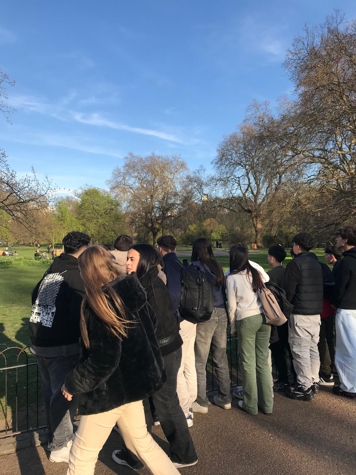 Imatge de WhatsApp 2025-04-04 a les 20.39.07_91920074