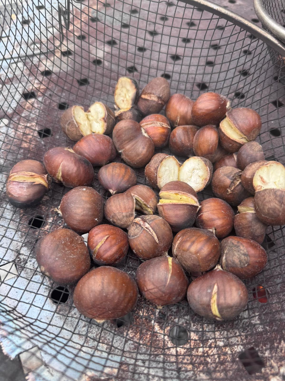 WhatsApp Image 2025-10-31 at 11.37.11