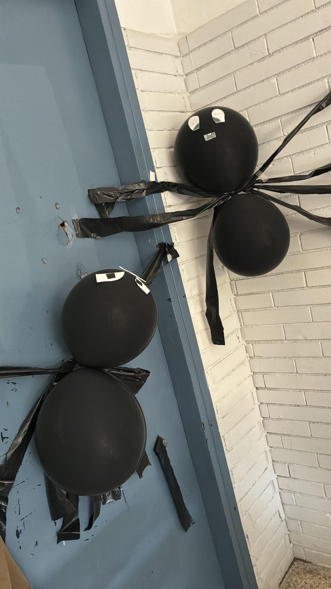 WhatsApp Image 2025-10-31 at 11.38.01