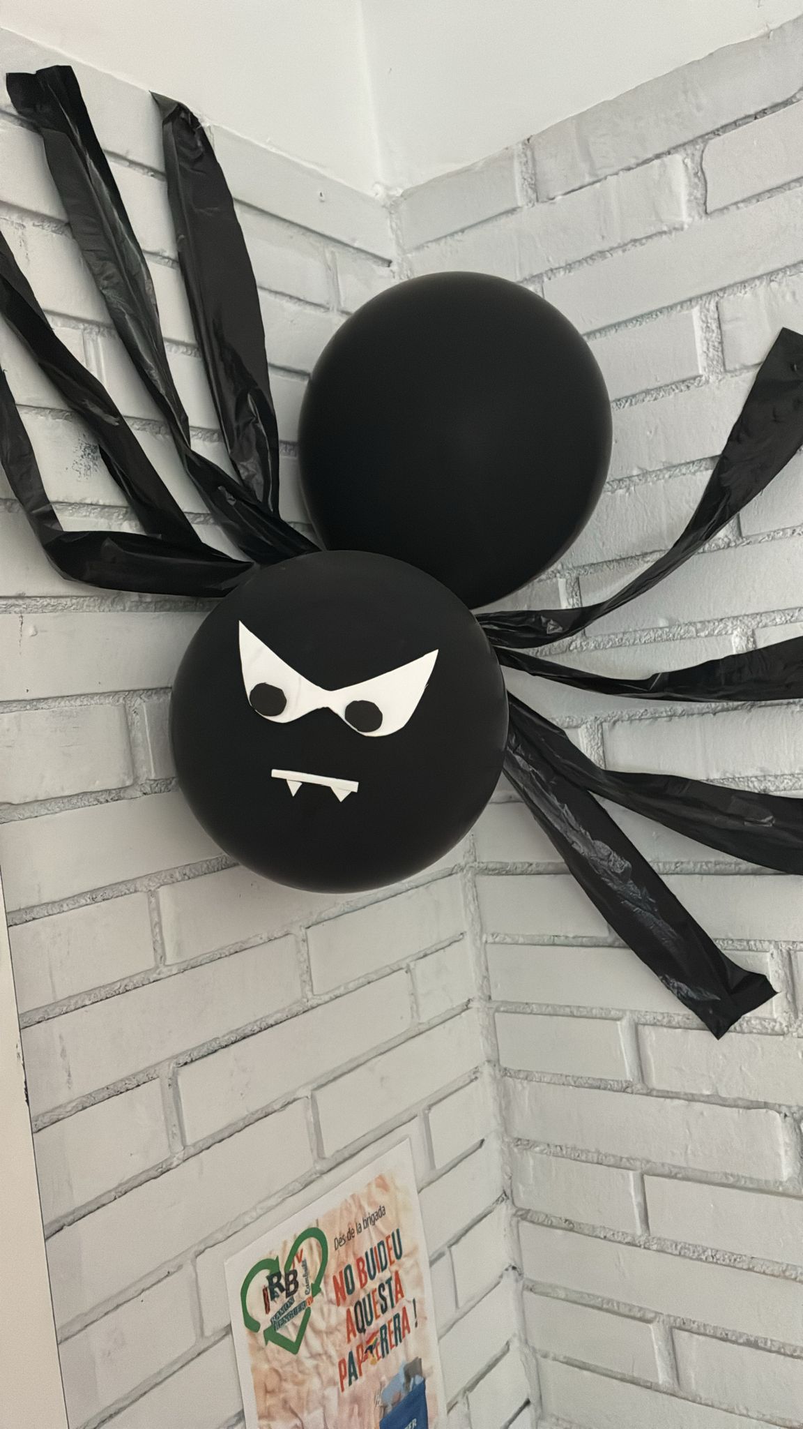 WhatsApp Image 2025-10-31 at 11.38.22