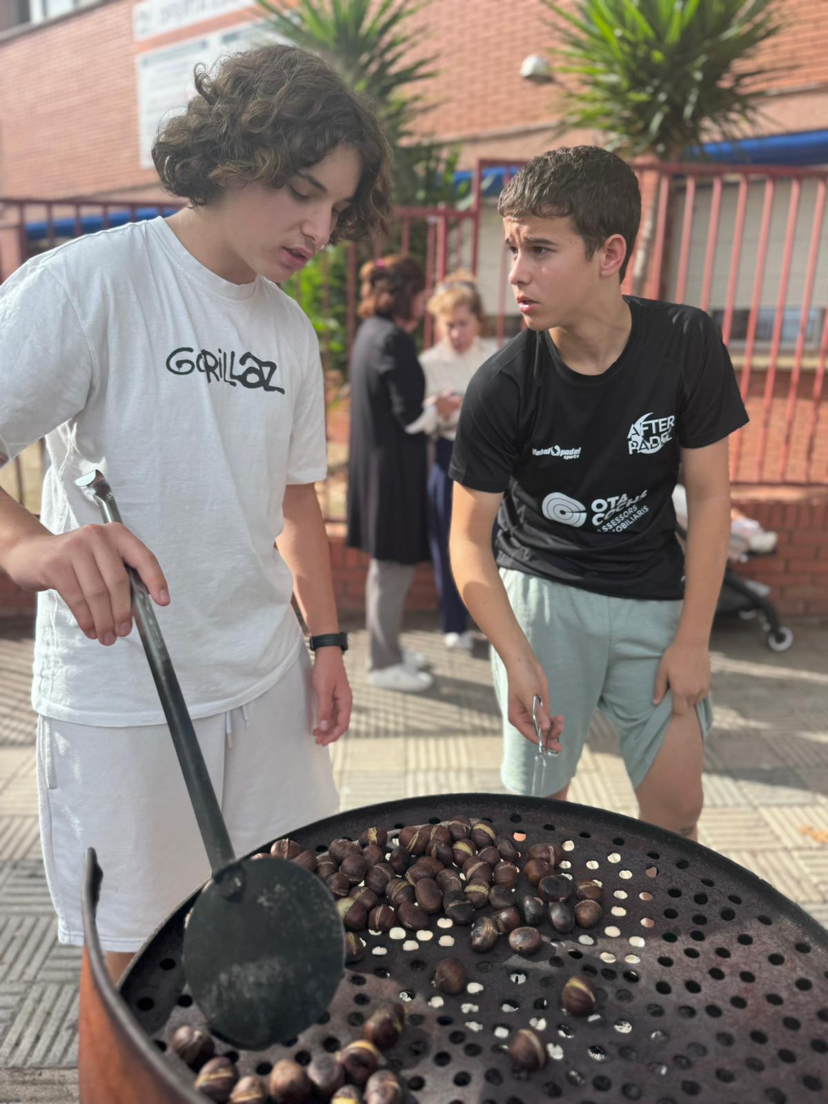 WhatsApp Image 2025-10-31 at 11.50.27