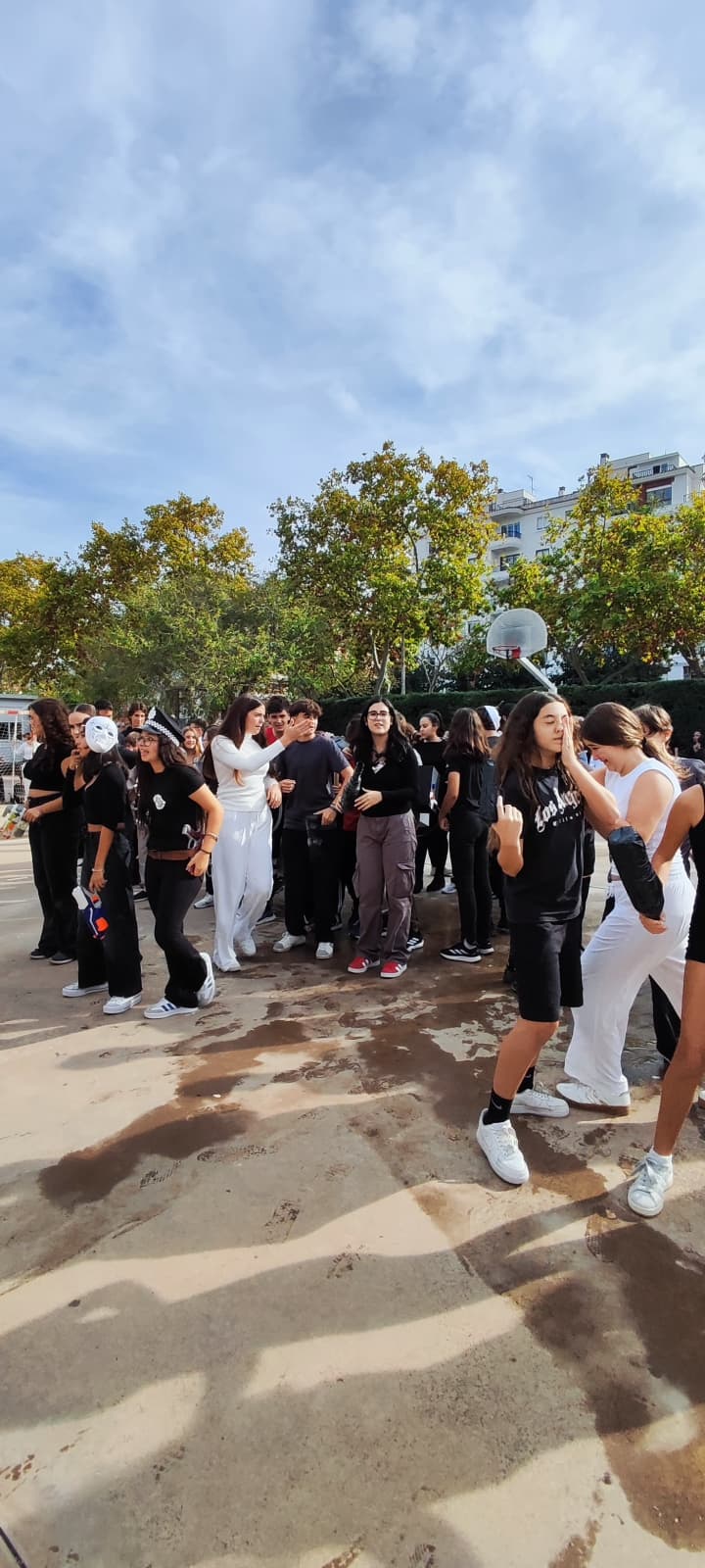 WhatsApp Image 2025-10-31 at 14.40.38 (2)