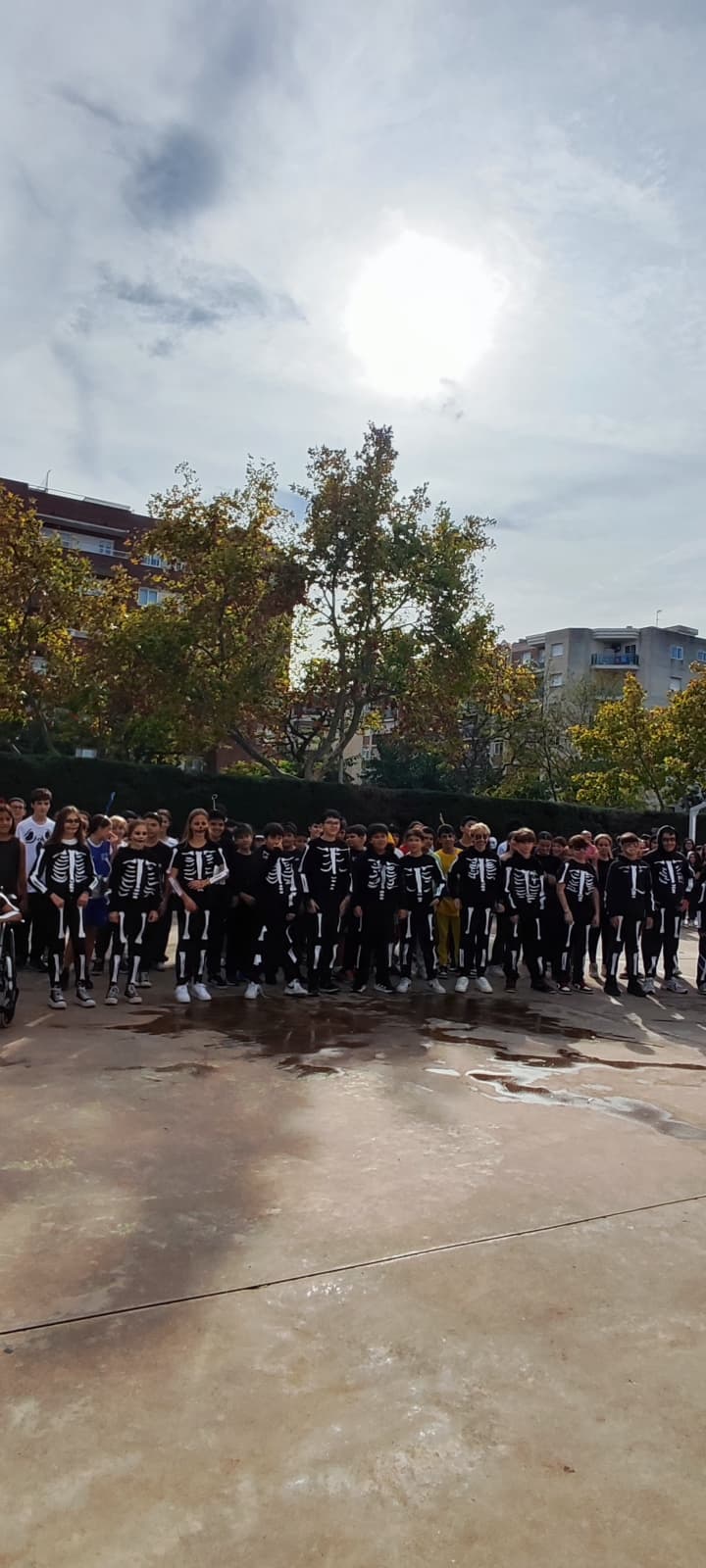 WhatsApp Image 2025-10-31 at 14.40.41