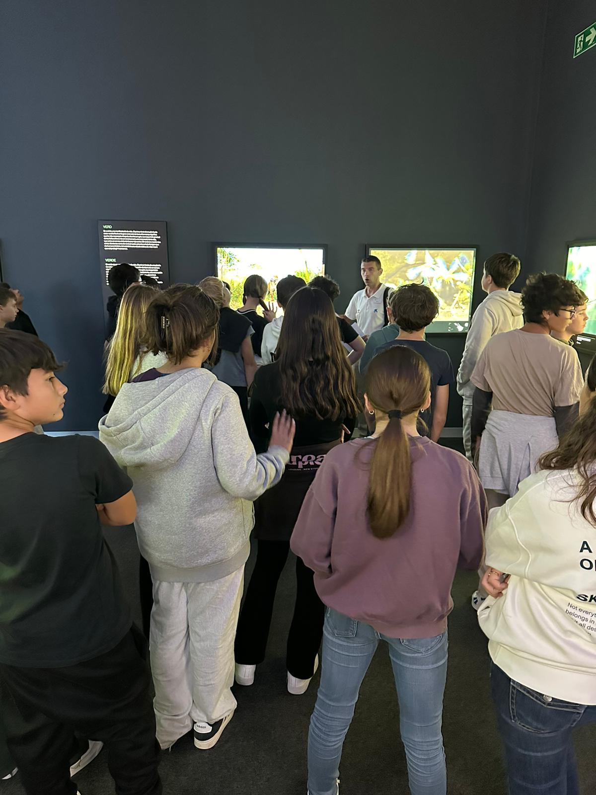 WhatsApp Image 2025-11-17 at 13.29.51 (3)