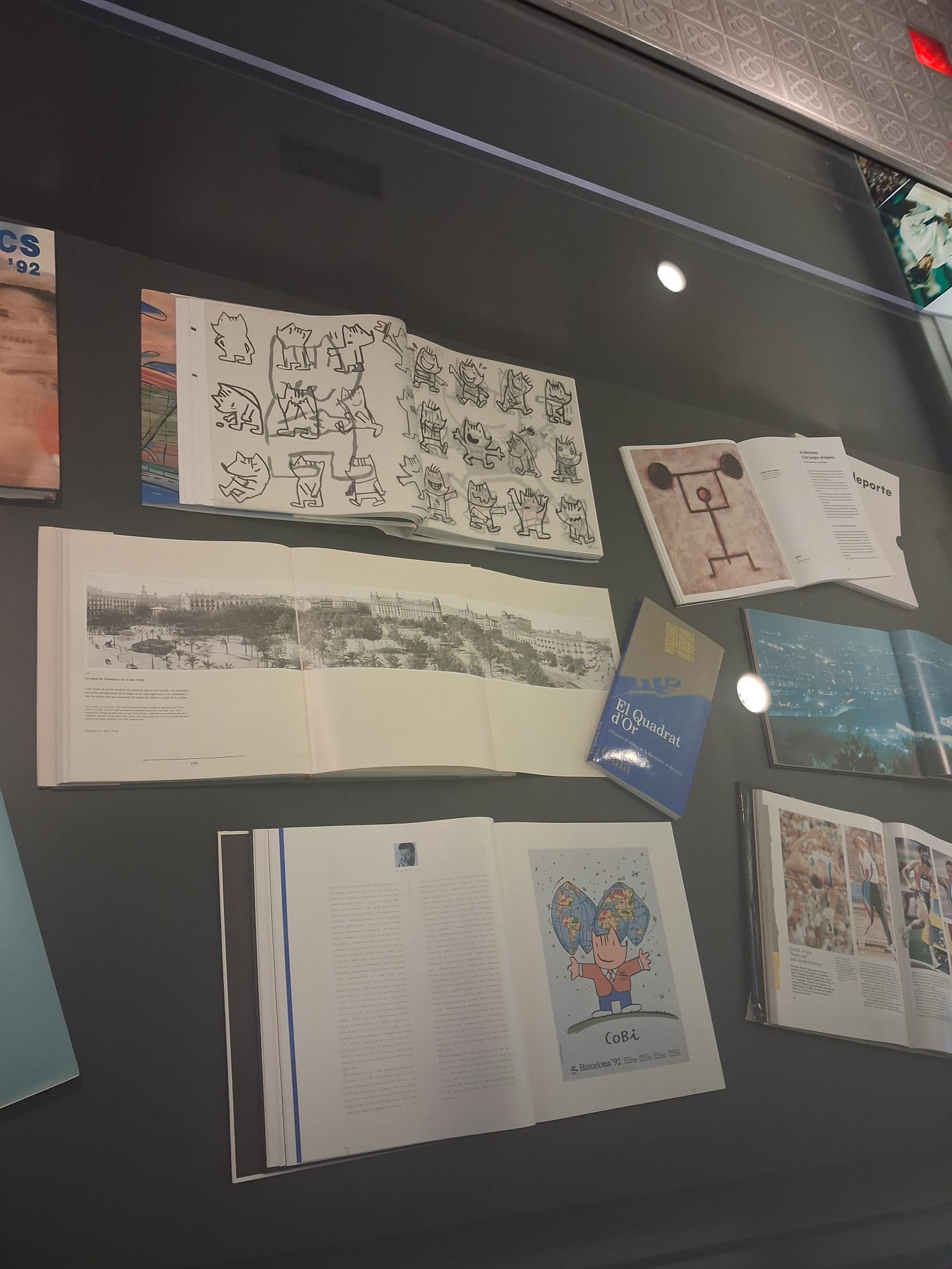 WhatsApp Image 2025-12-09 at 15.22.19 (17)