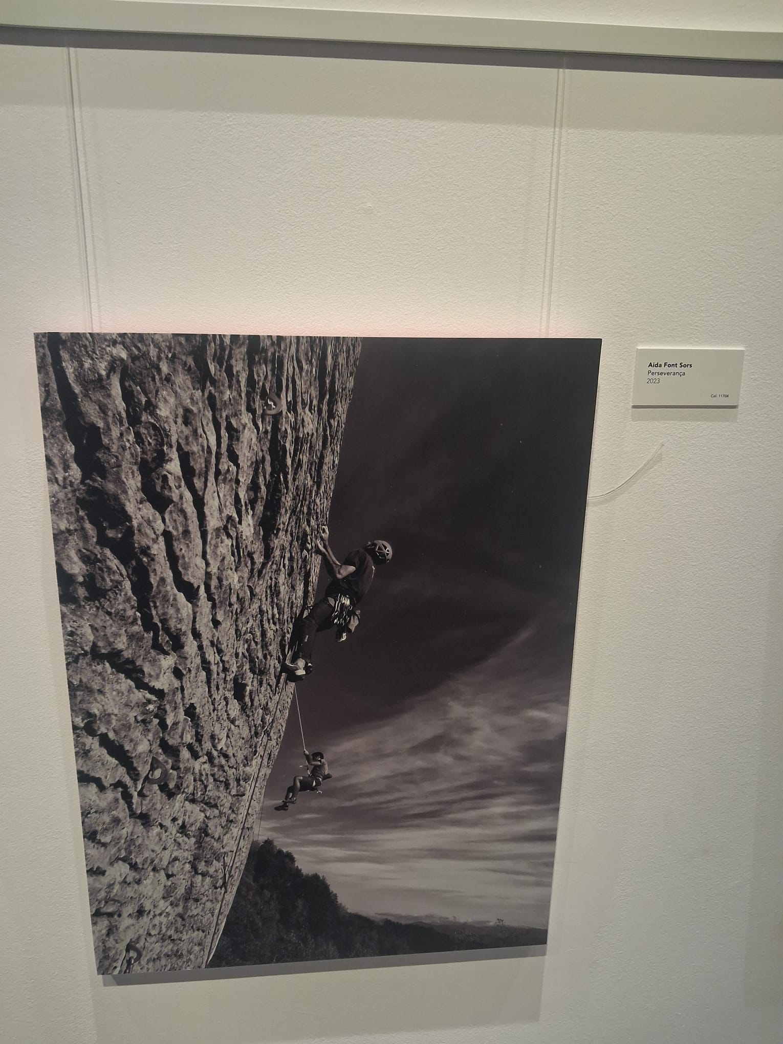 WhatsApp Image 2025-12-09 at 15.22.19 (33)