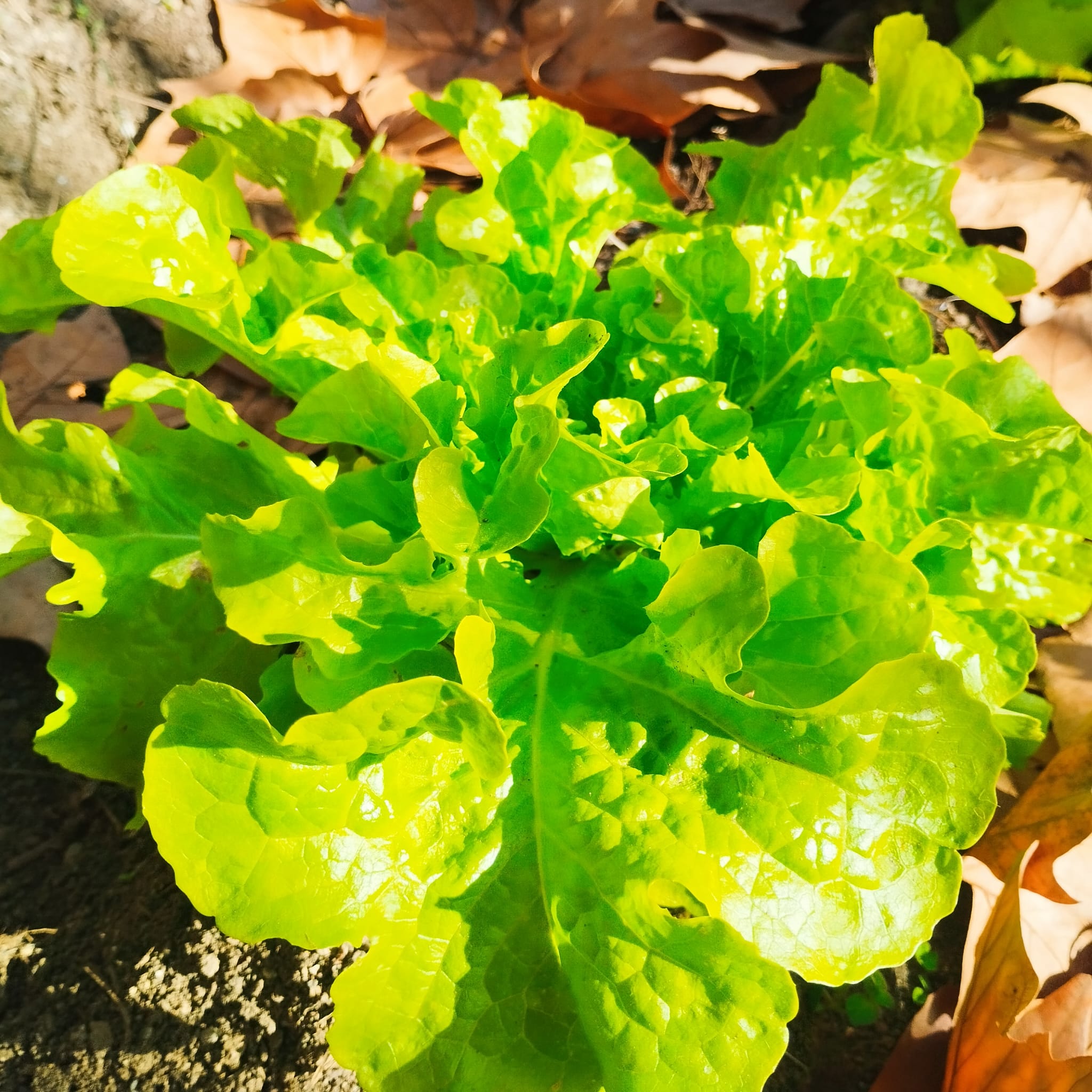 WhatsApp Image 2026-01-23 at 09.06.58