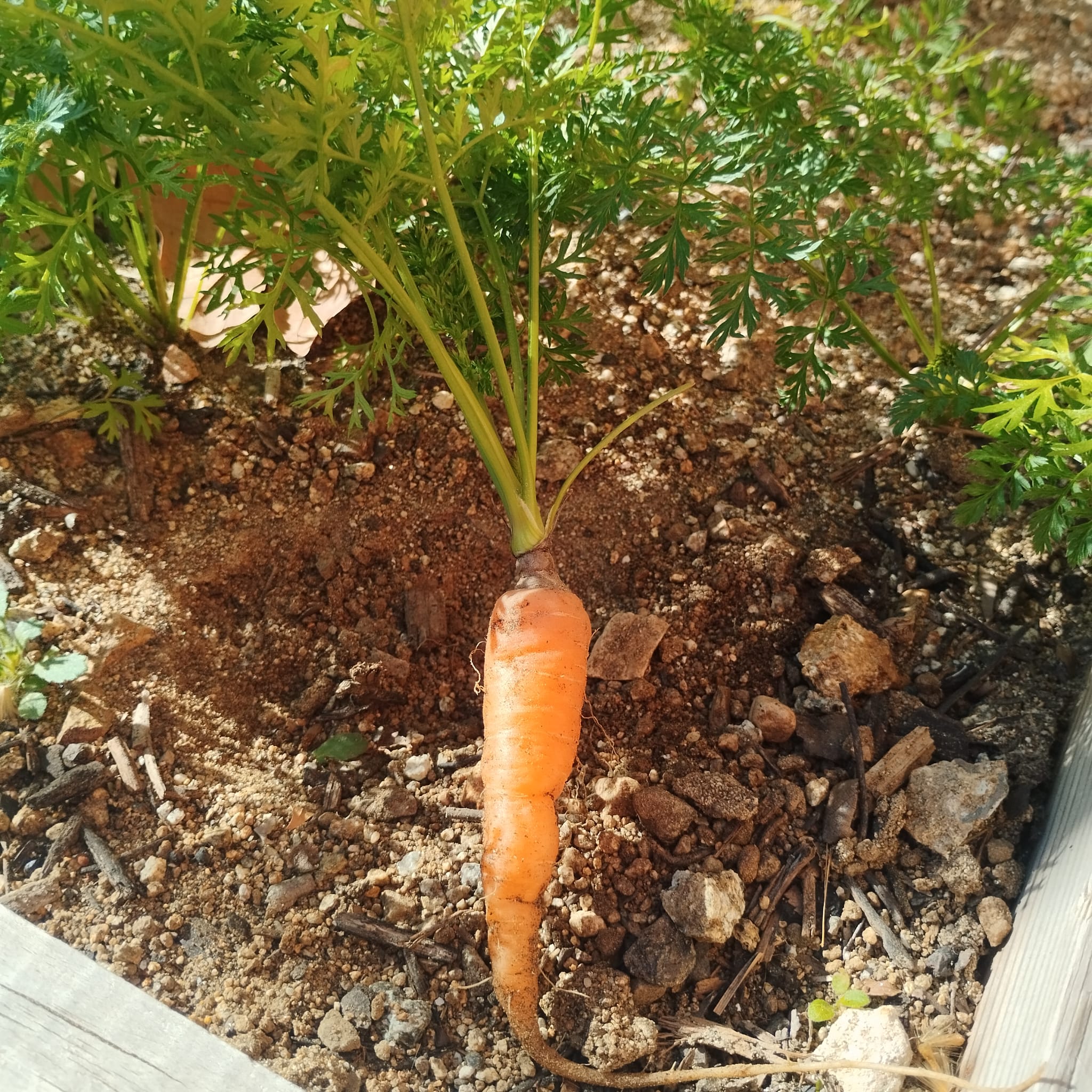 WhatsApp Image 2026-01-23 at 09.06.59 (1)