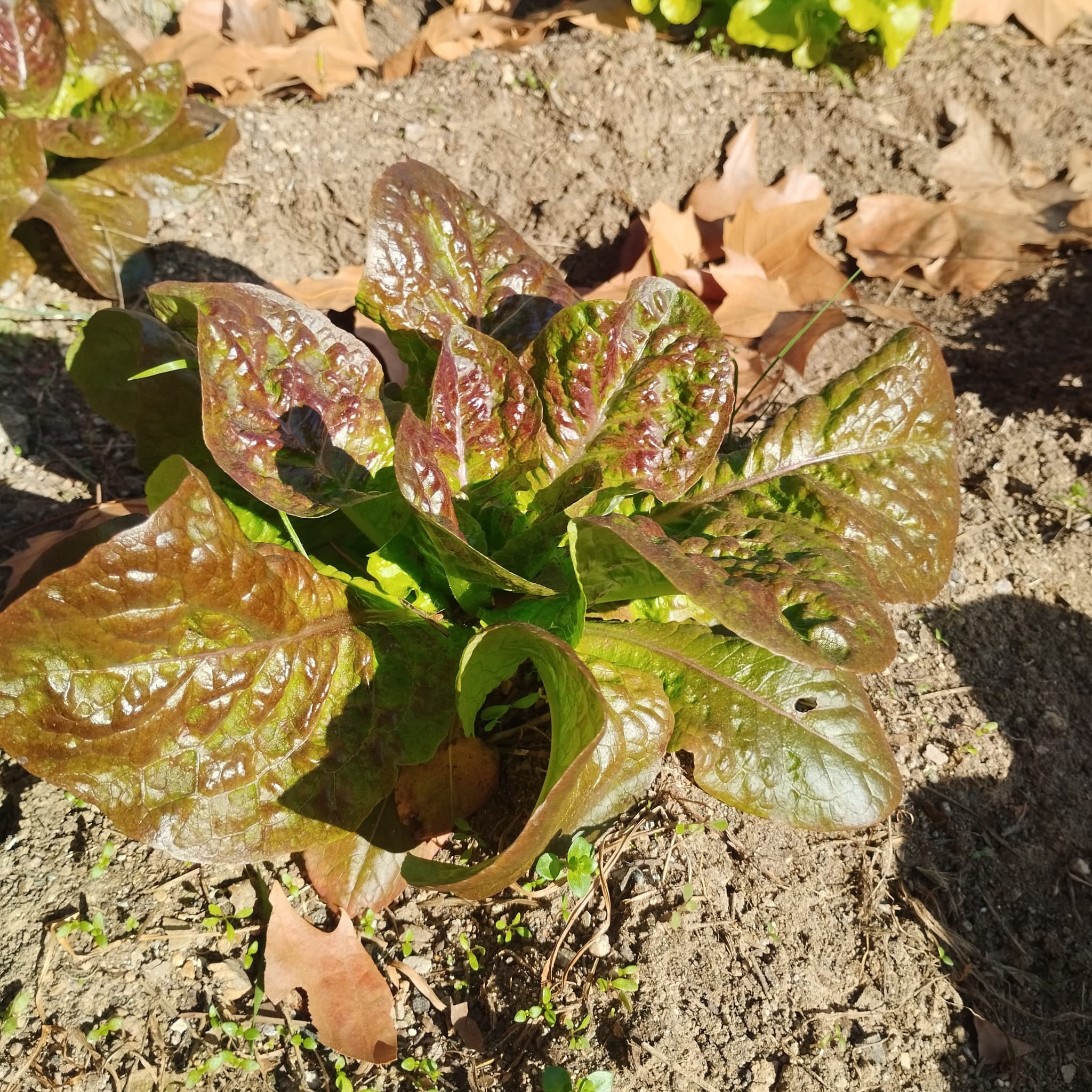 WhatsApp Image 2026-01-23 at 09.06.59