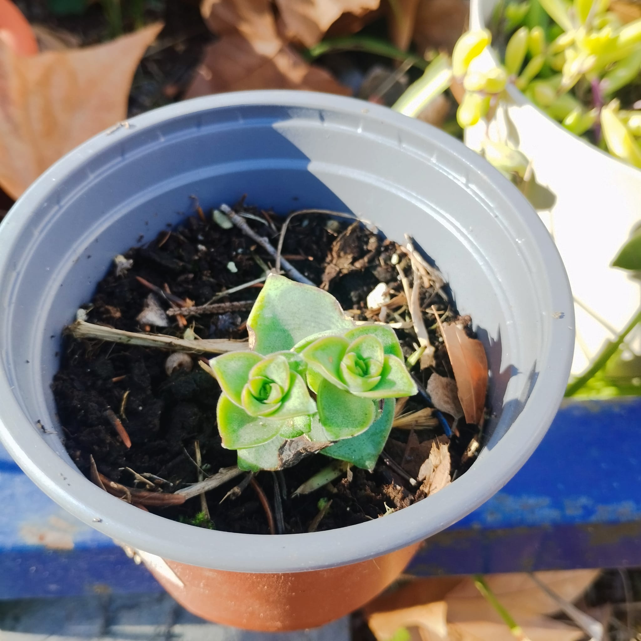 WhatsApp Image 2026-01-23 at 09.07.50 (1)