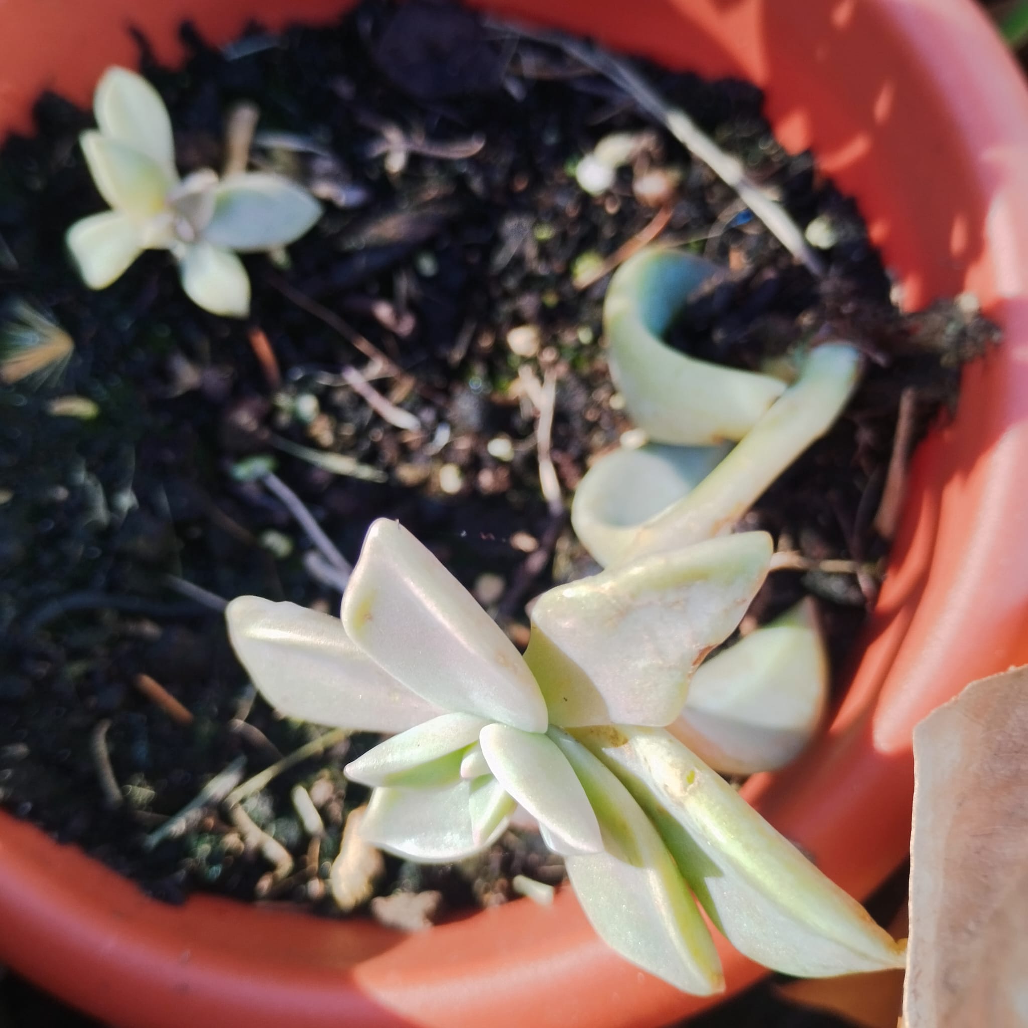 WhatsApp Image 2026-01-23 at 09.07.50 (2)