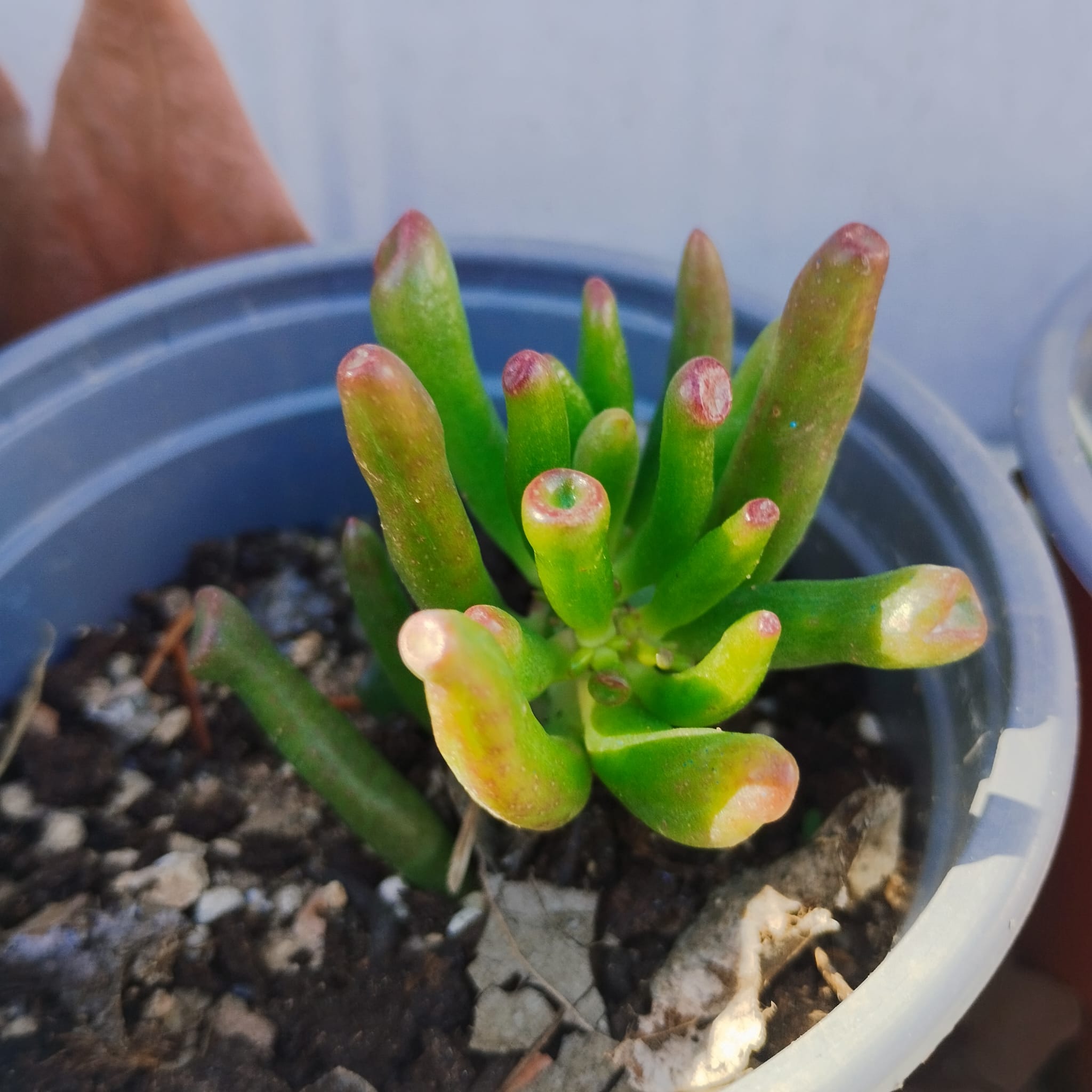 WhatsApp Image 2026-01-23 at 09.07.50