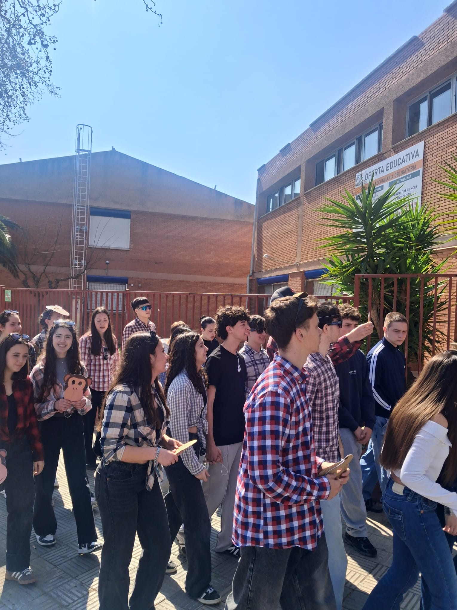 WhatsApp Image 2026-03-13 at 16.32.31 (2)