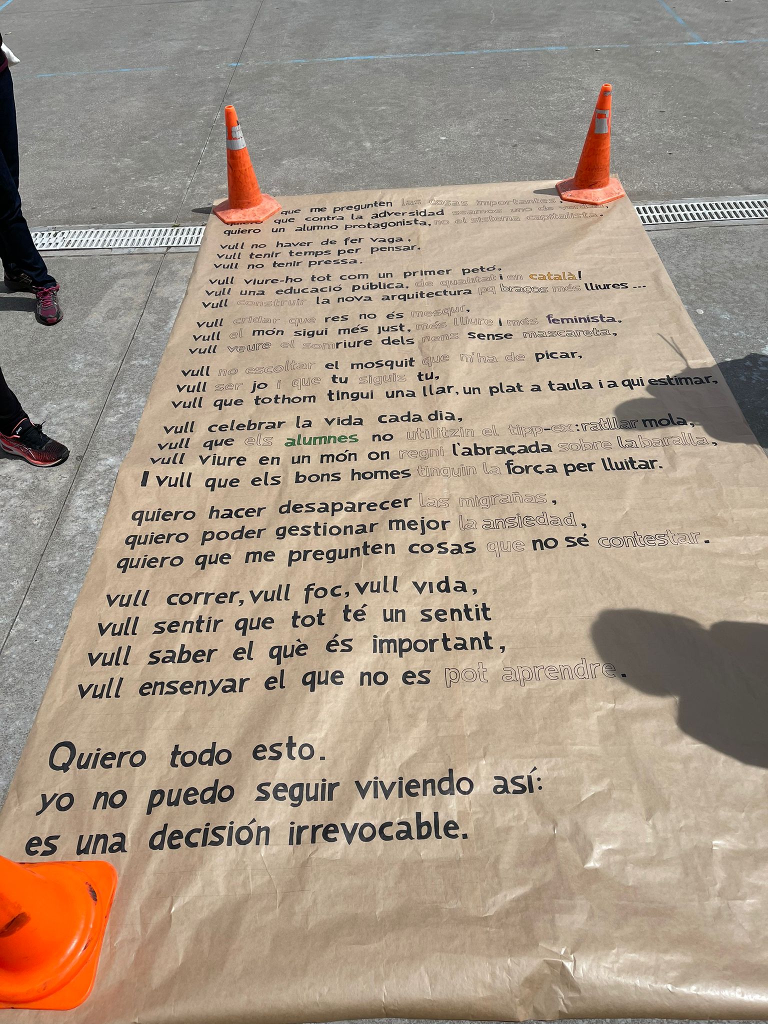 c1007a70-96aa-47f2-ba3b-8664b692da4b