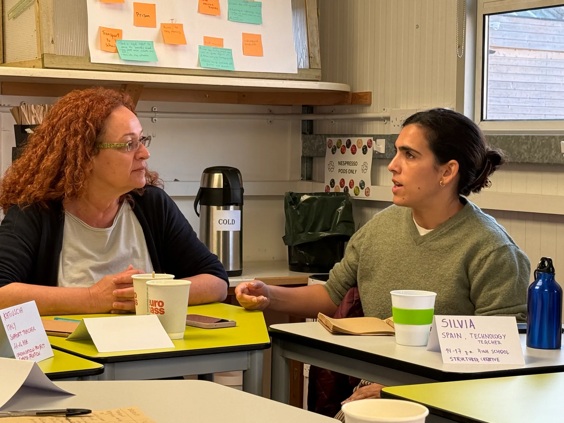 Activitat del curs "Preventing Early School Leaving: Strategies and Tools for Teachers" a Dublín