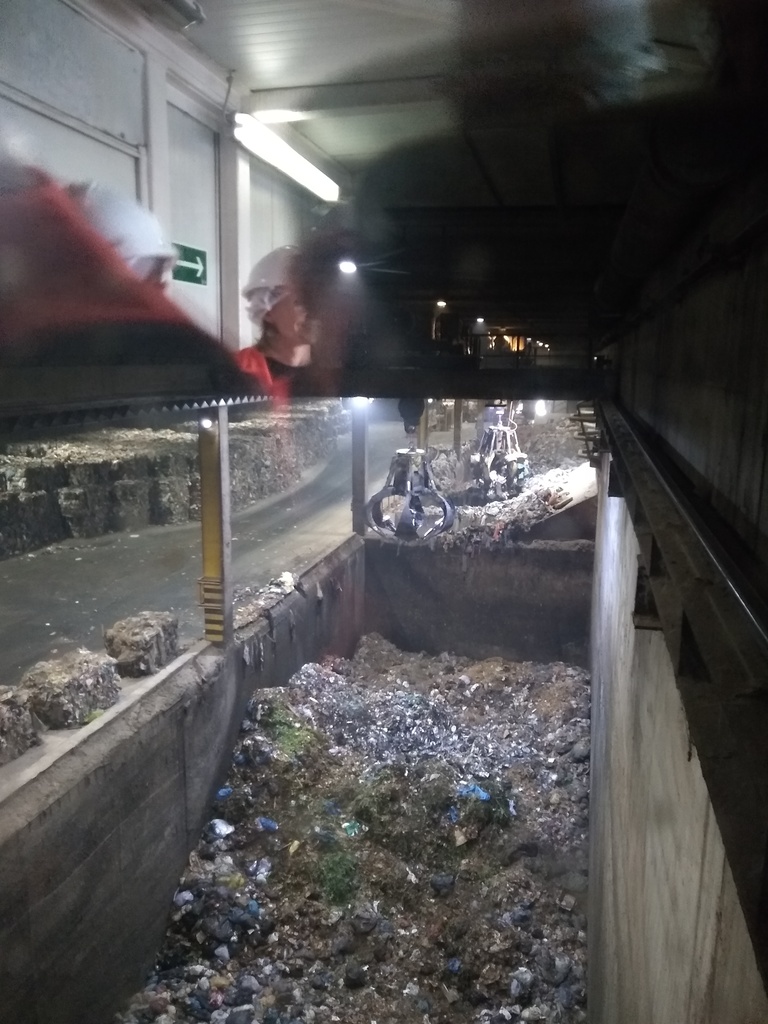 IMG_20221026_114429081