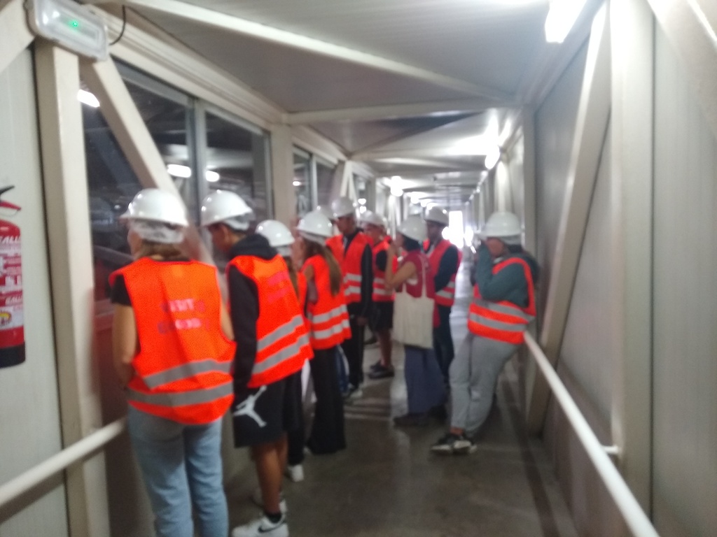 IMG_20221026_115459254