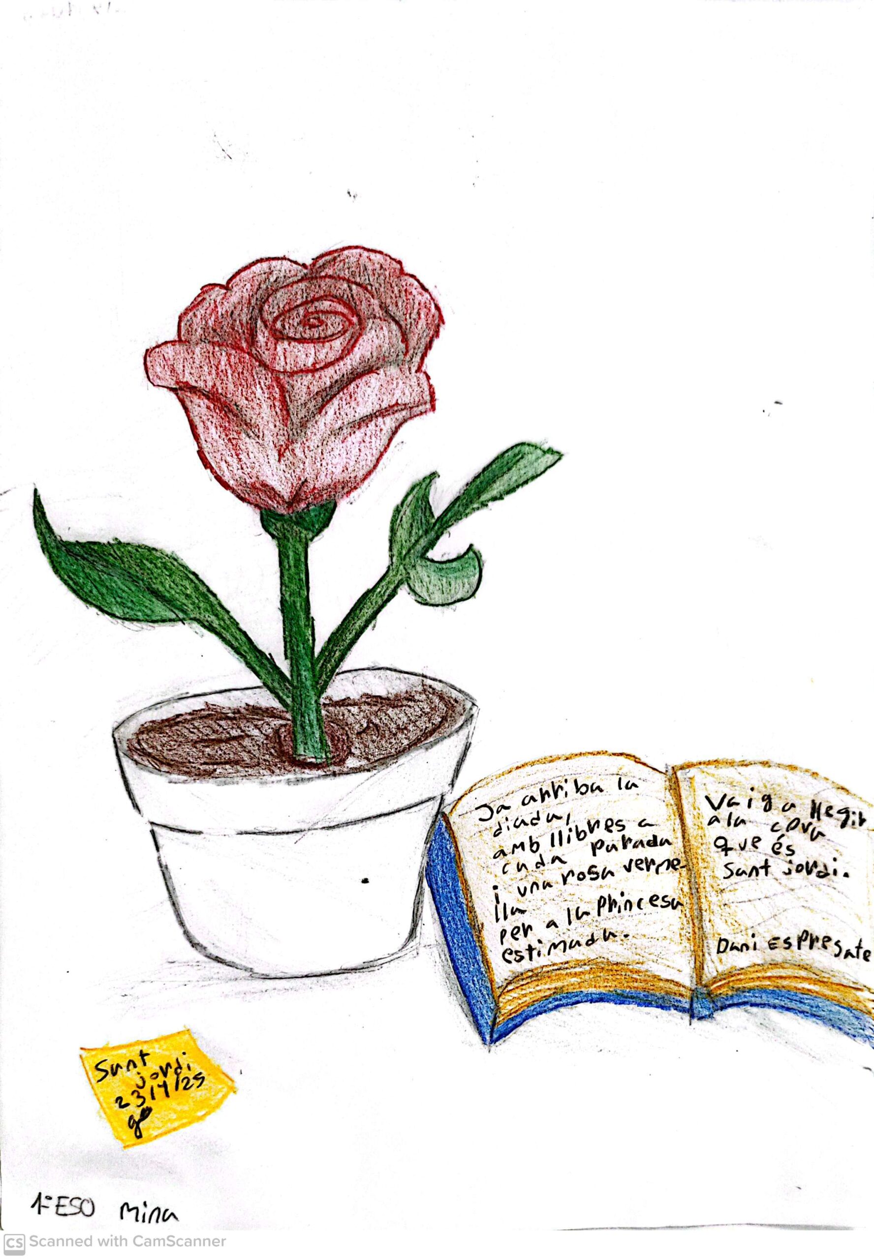 premis Sant Jordi 2025_4