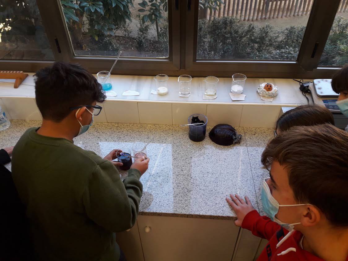 Pràctica àcid-base (1)