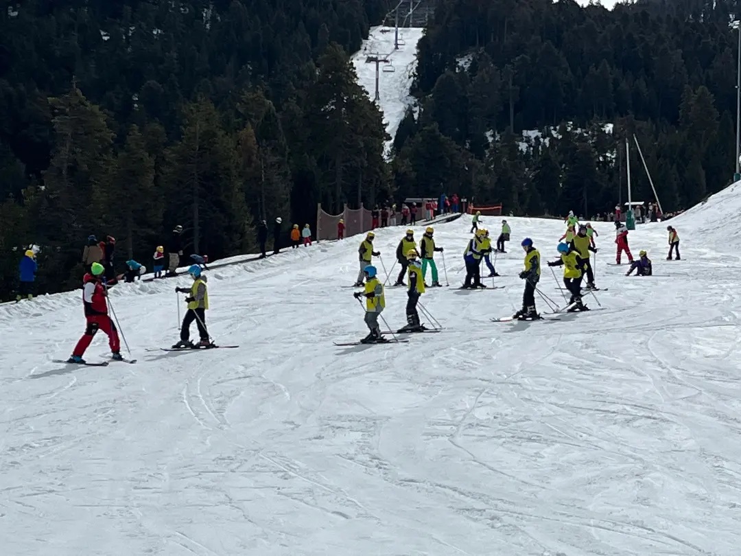 IMG_20230309_085152_787