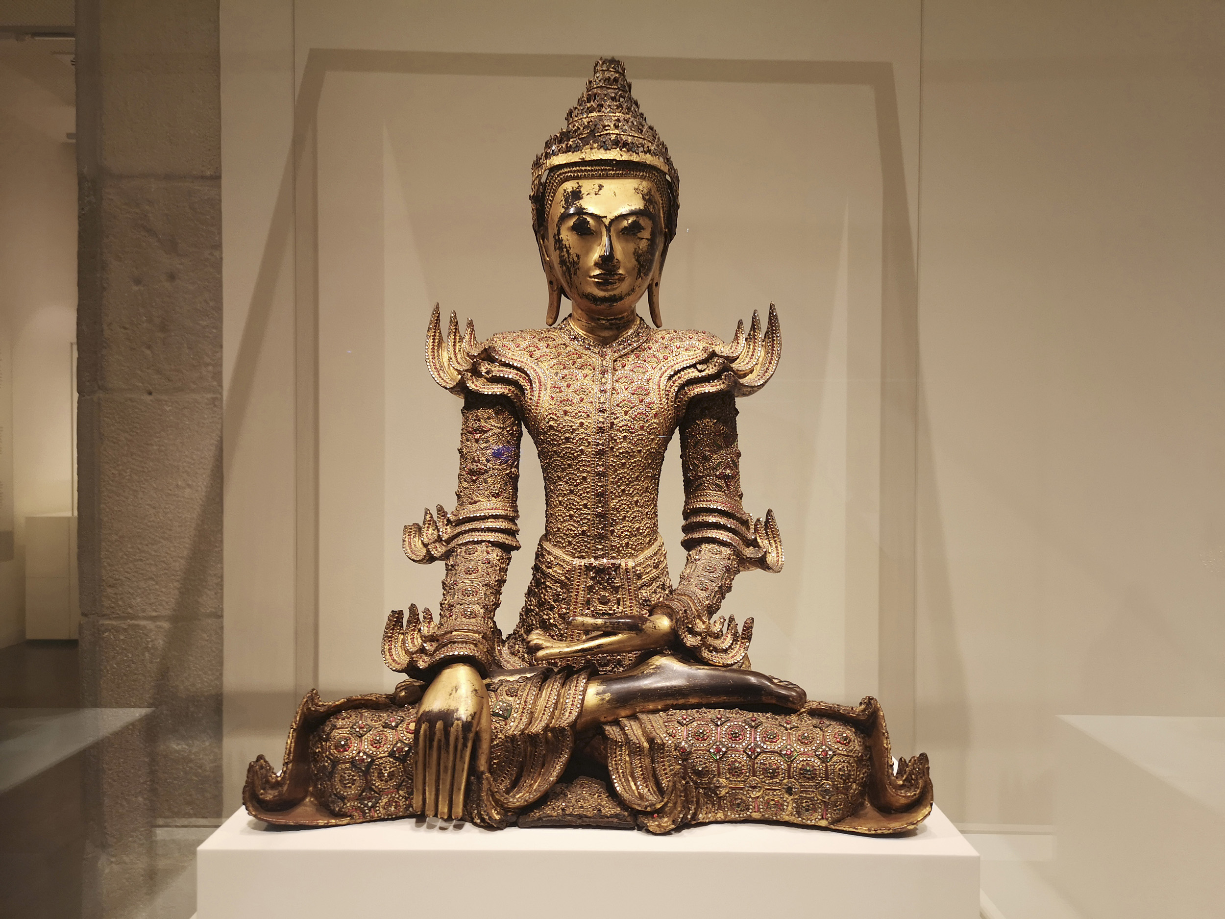 Sortida_MUEC_2024_11