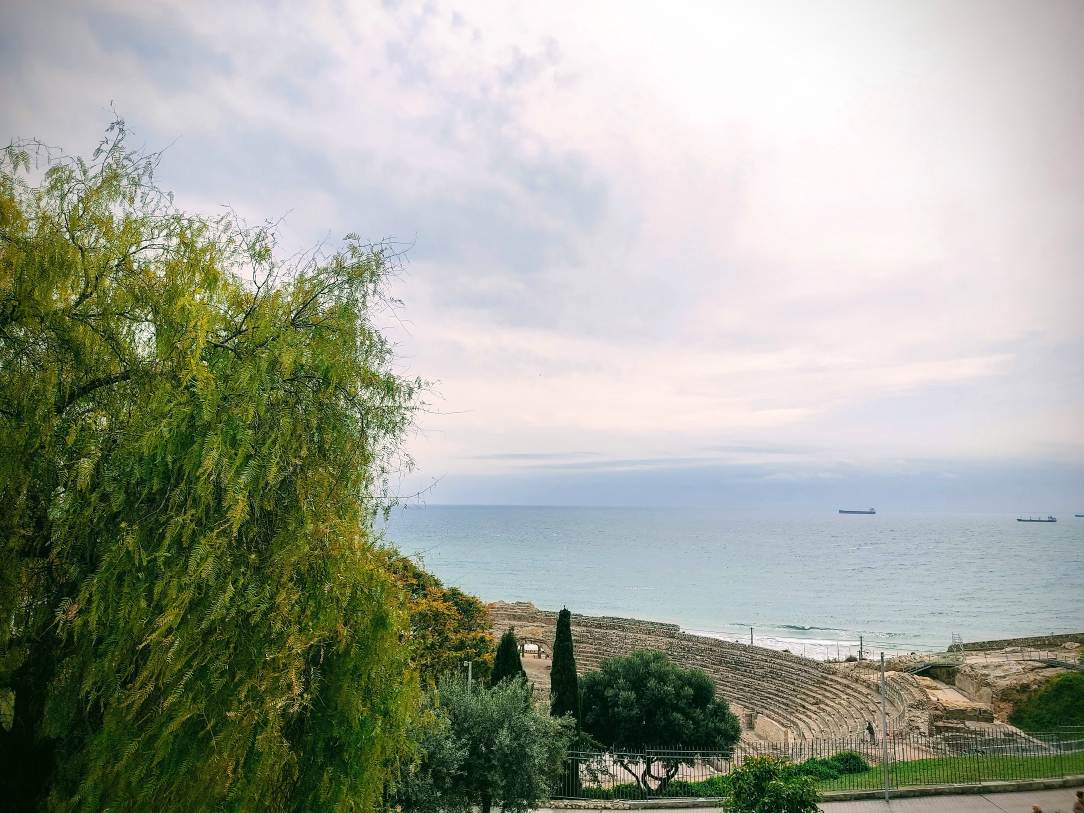 IMG_20250403_123226-EFFECTS_1743966340355