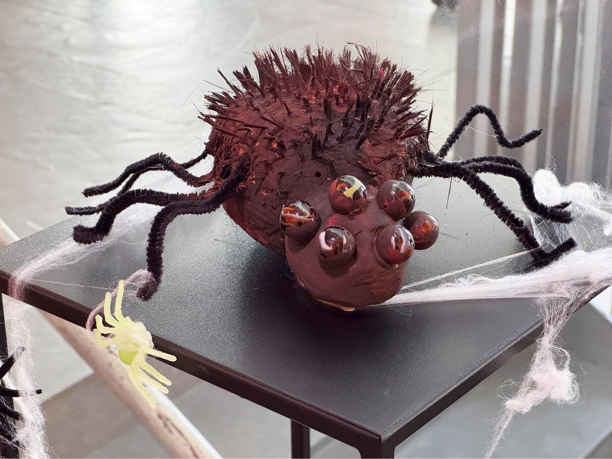 Exposició_Fòbies_04