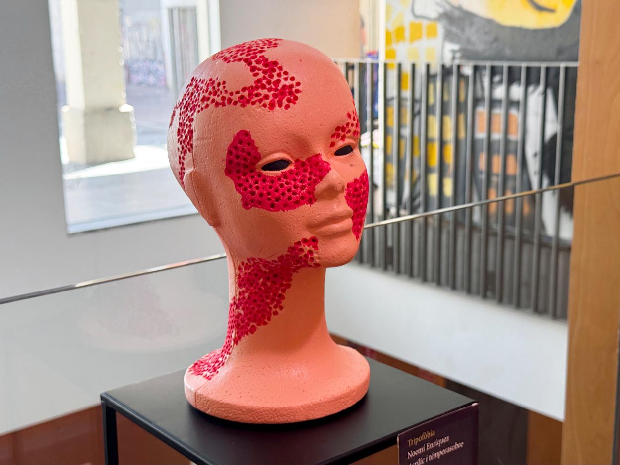 Exposició_Fòbies_06