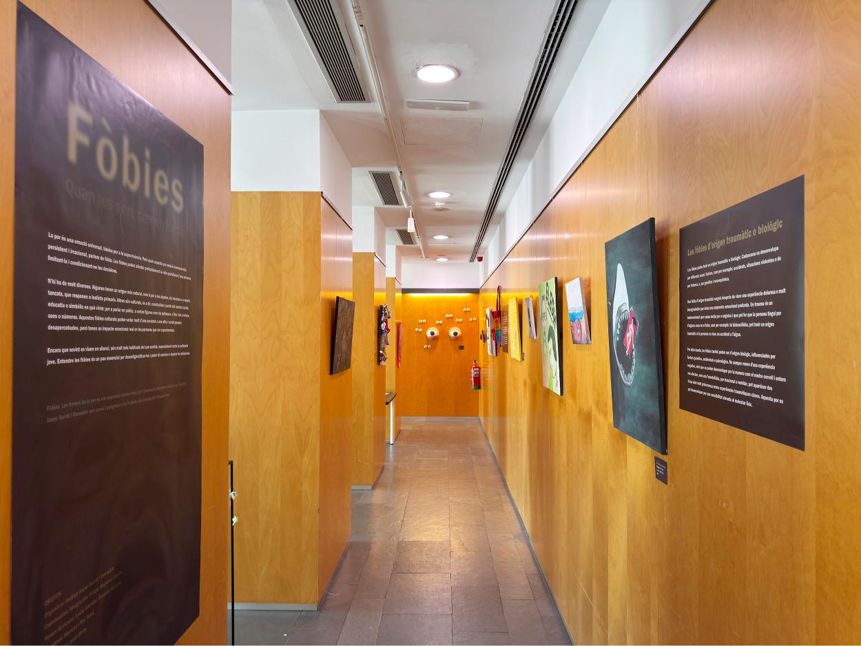 Exposició_Fòbies_09