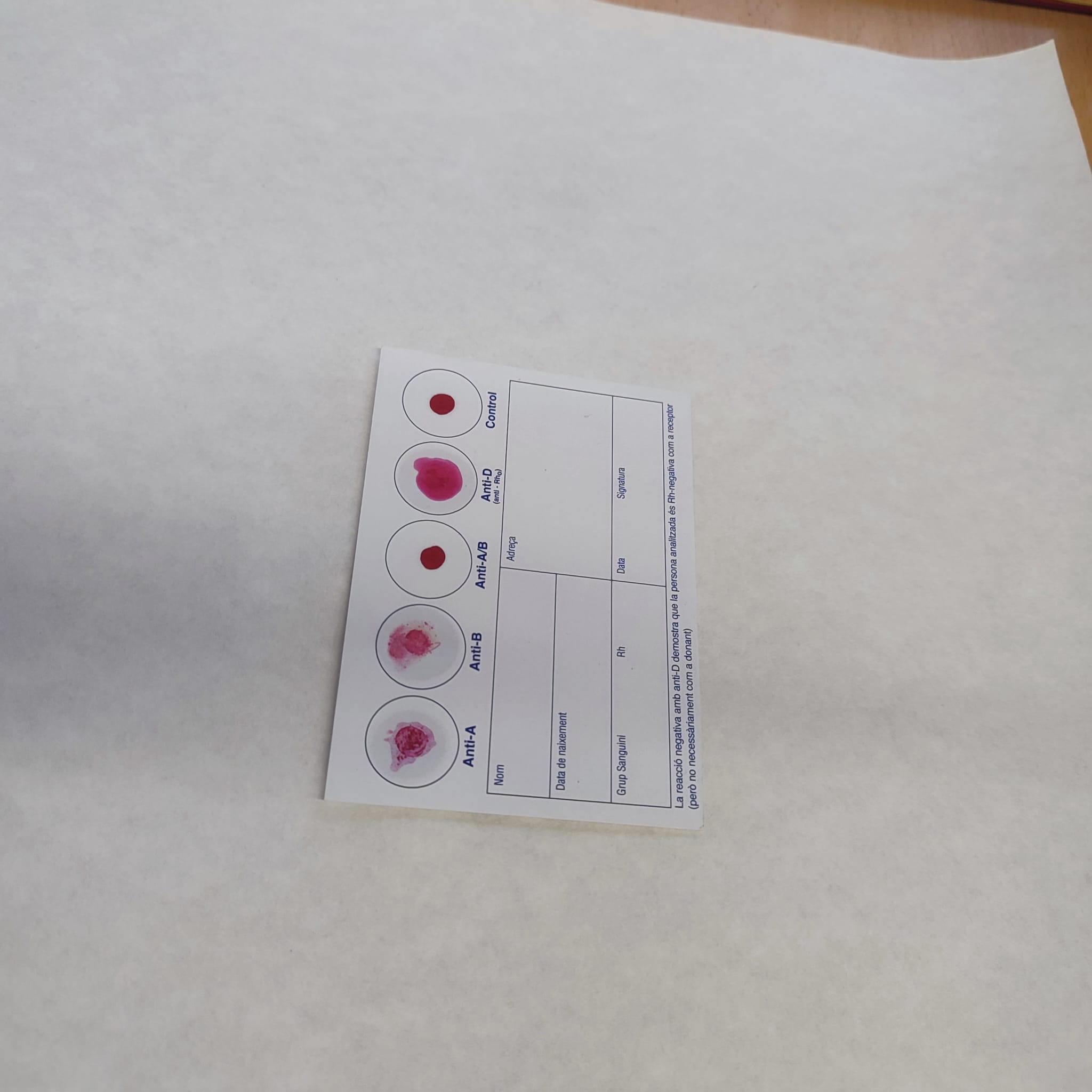 WhatsApp Image 2023-09-22 at 14.02.19