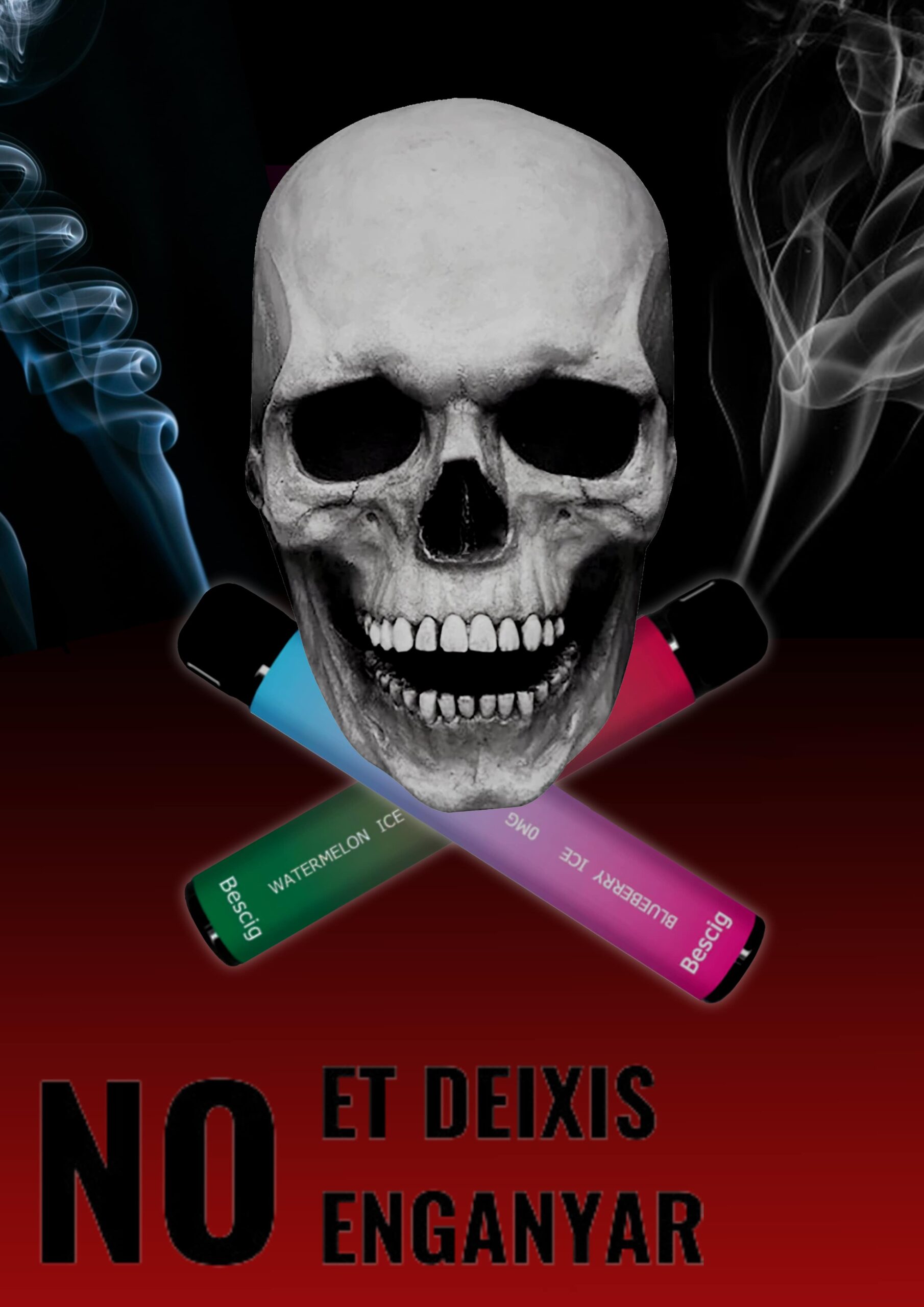 Treball Photopea ViP-min