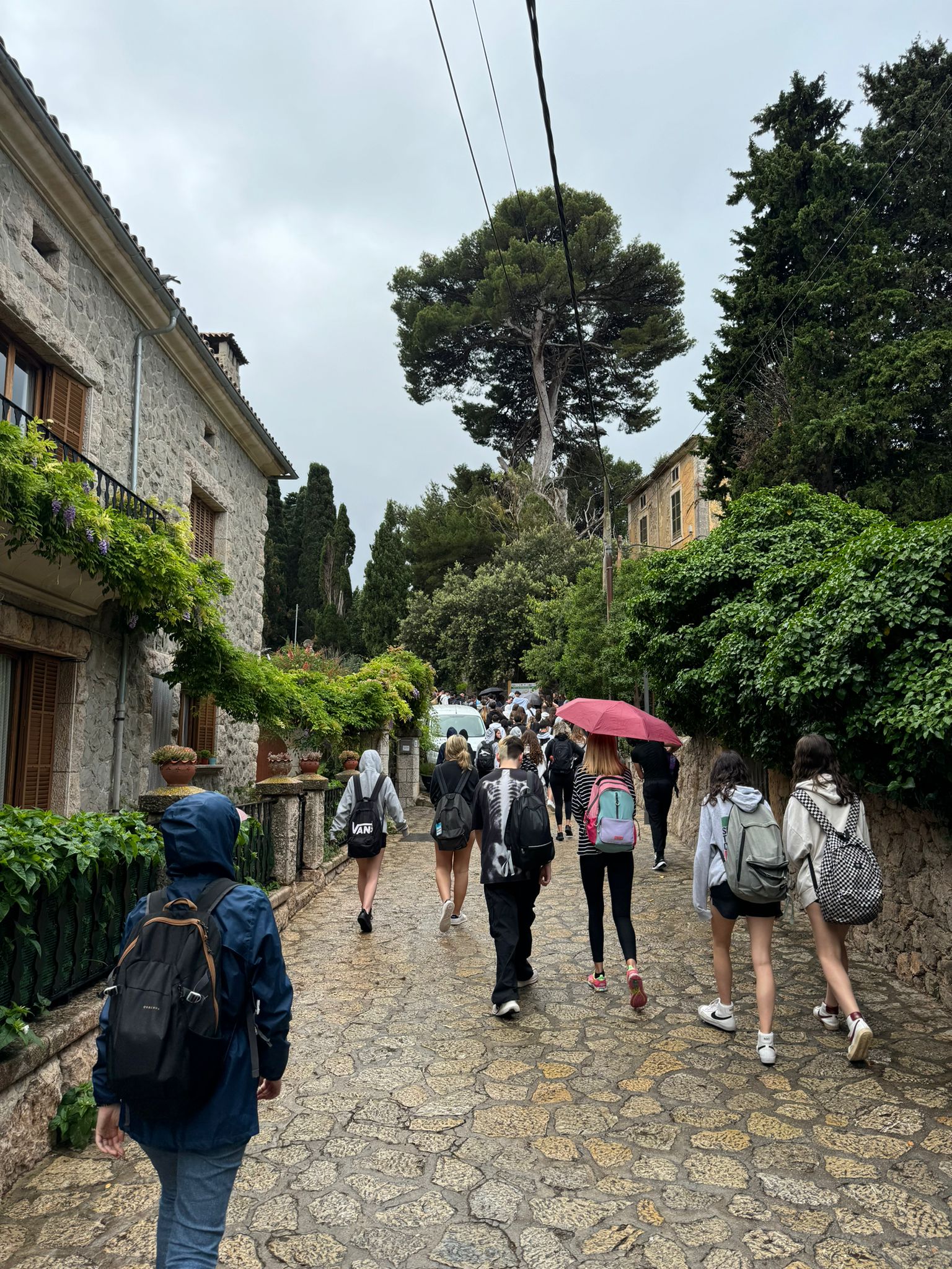 WhatsApp Image 2024-06-12 at 11.37.15