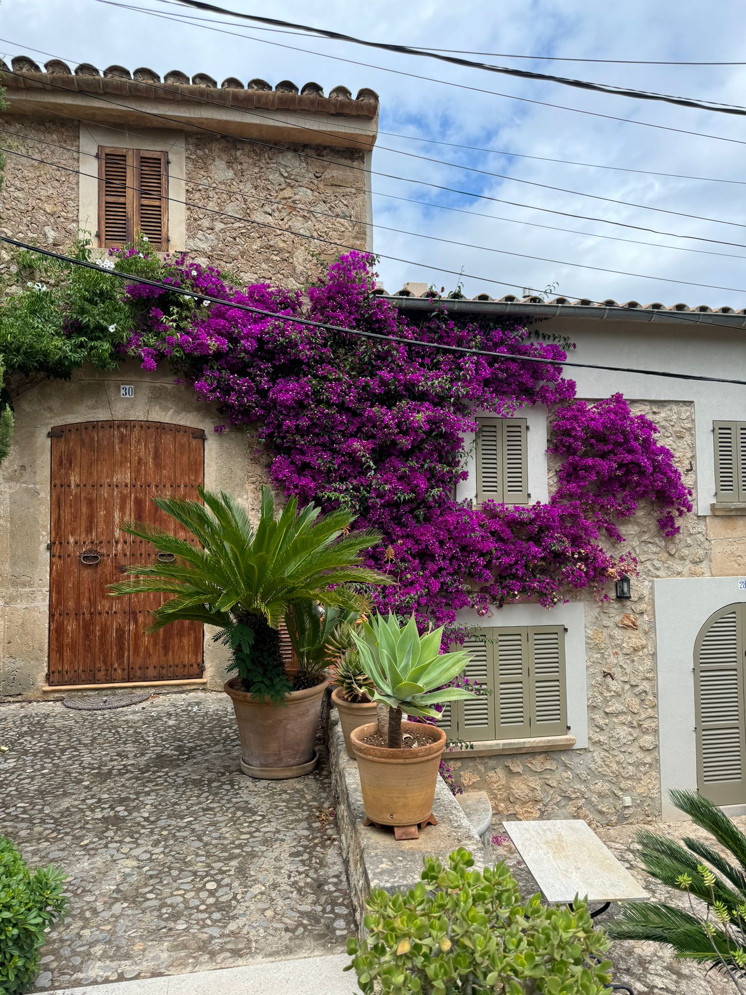 WhatsApp Image 2024-06-13 at 12.30.38