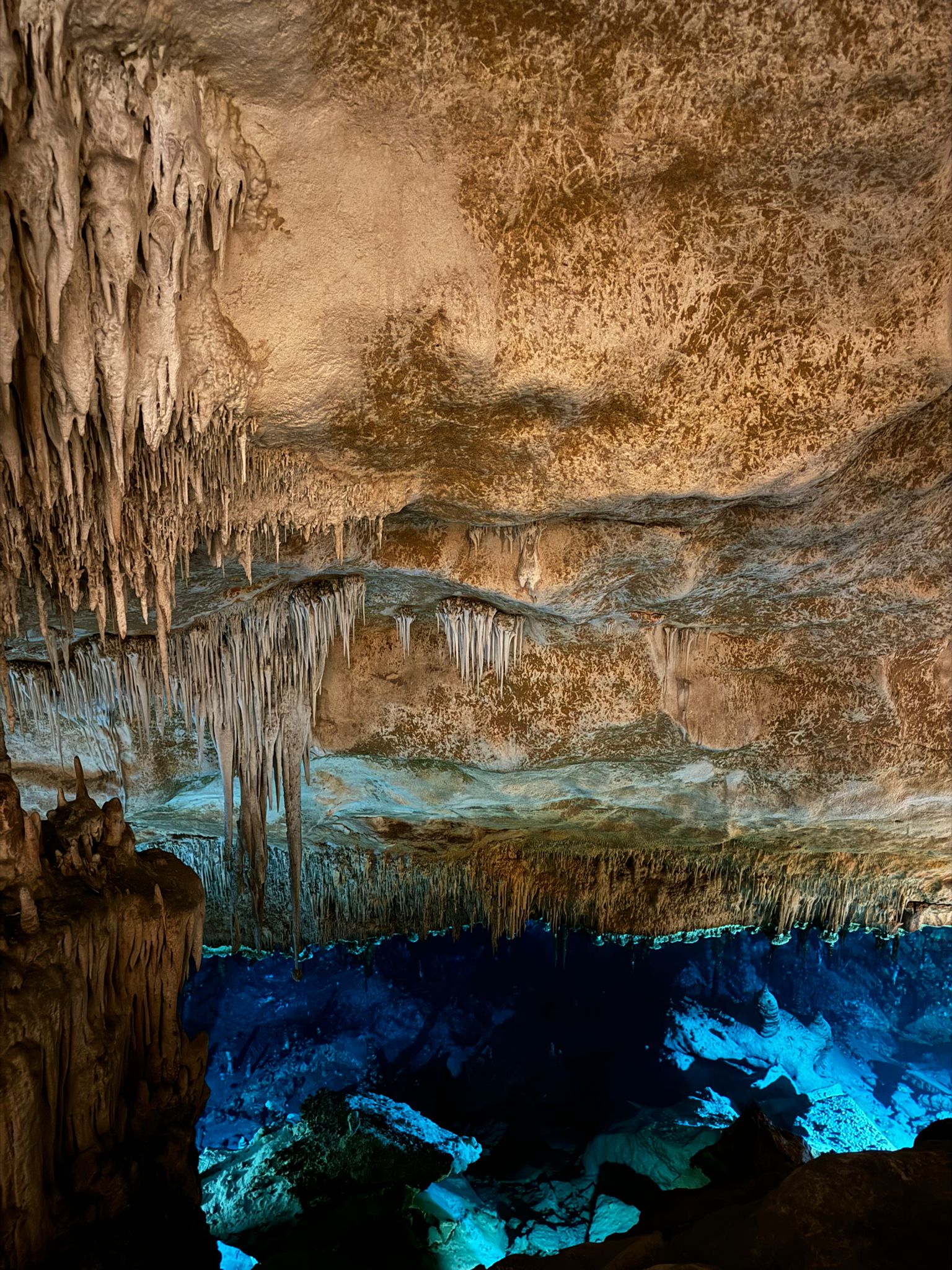 WhatsApp Image 2024-06-14 at 19.45.55 (1)