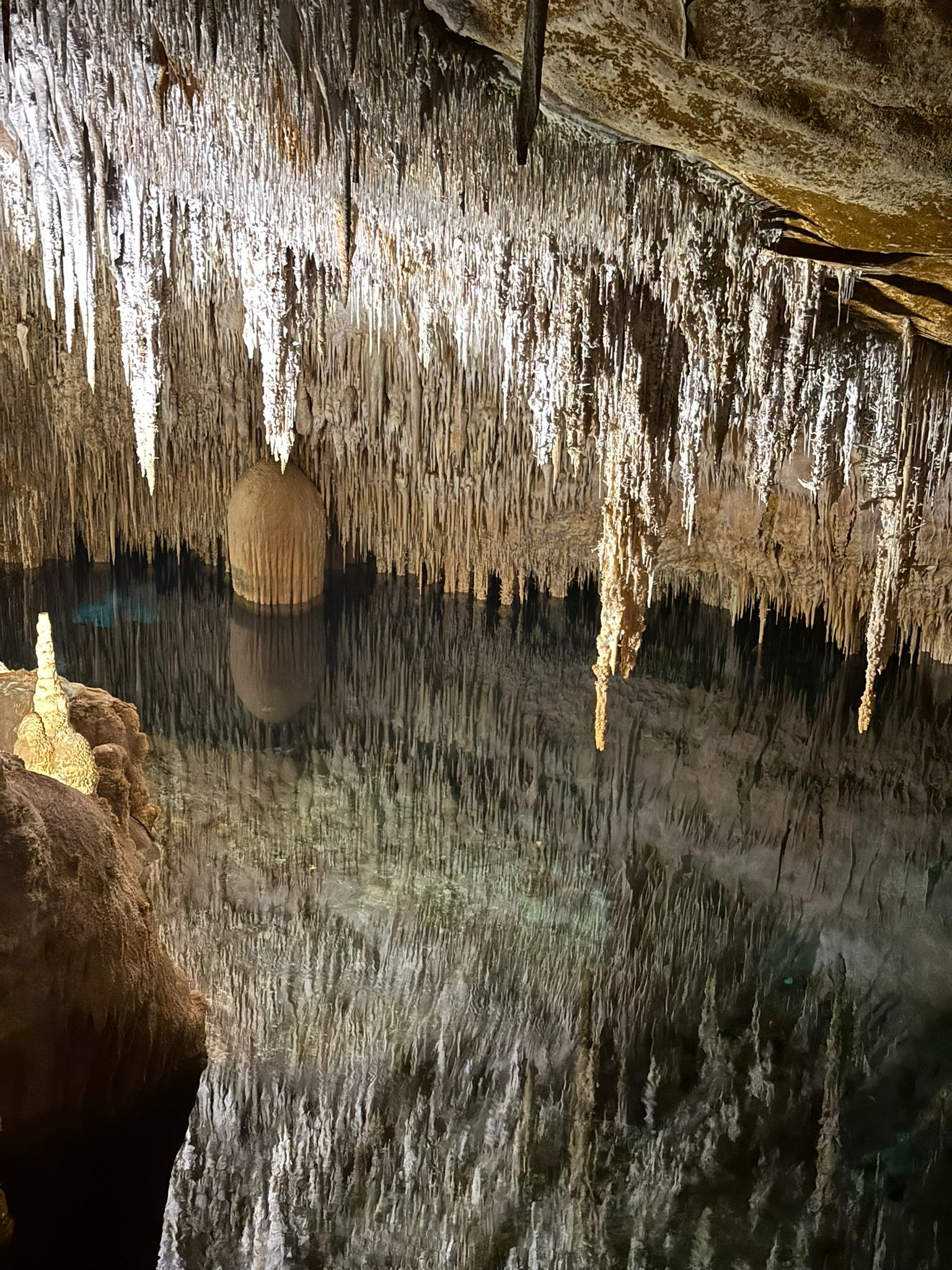 WhatsApp Image 2024-06-14 at 19.45.55