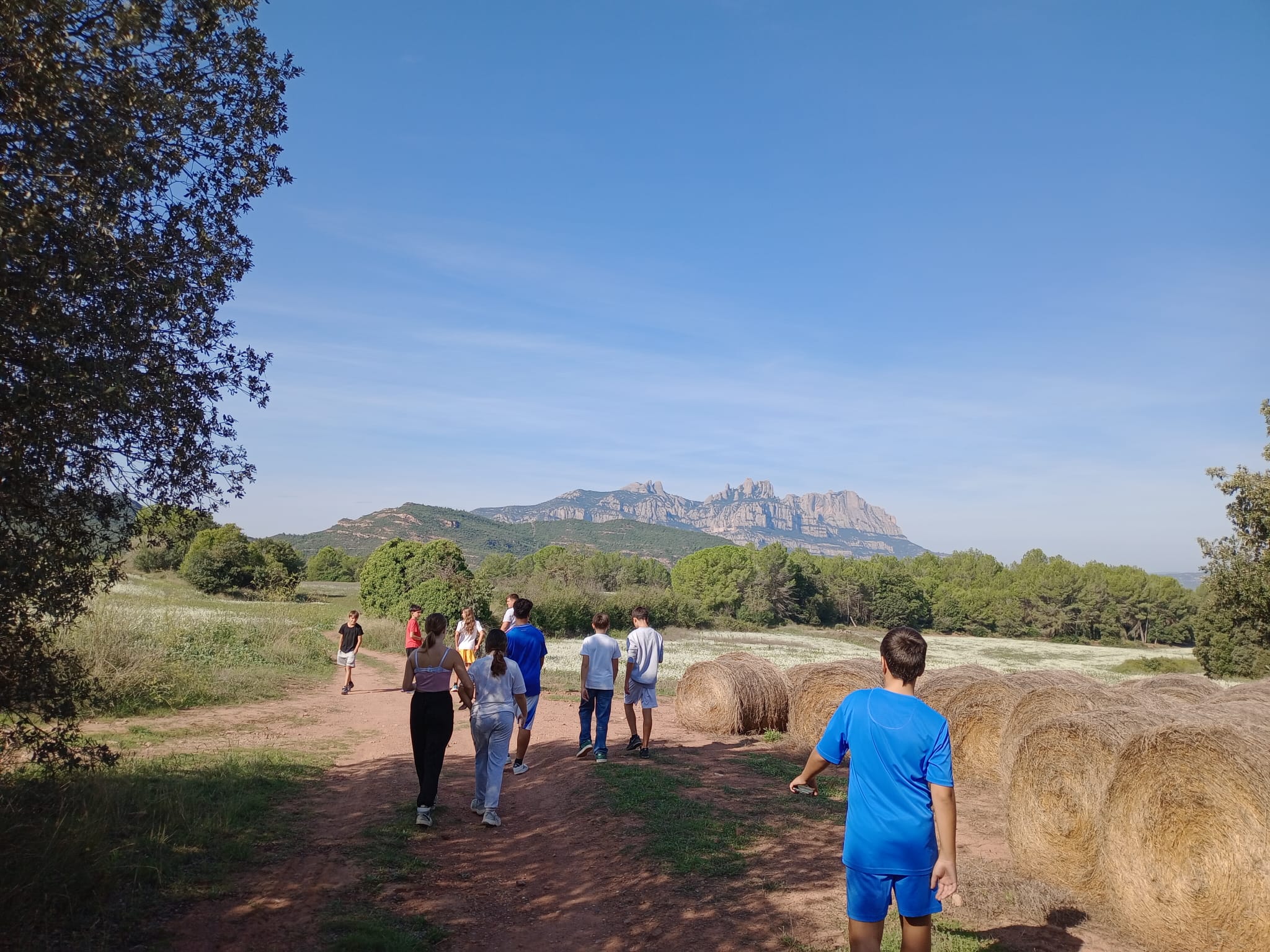 Imagen de WhatsApp 2024-09-25 a las 12.54.29_67812e2b