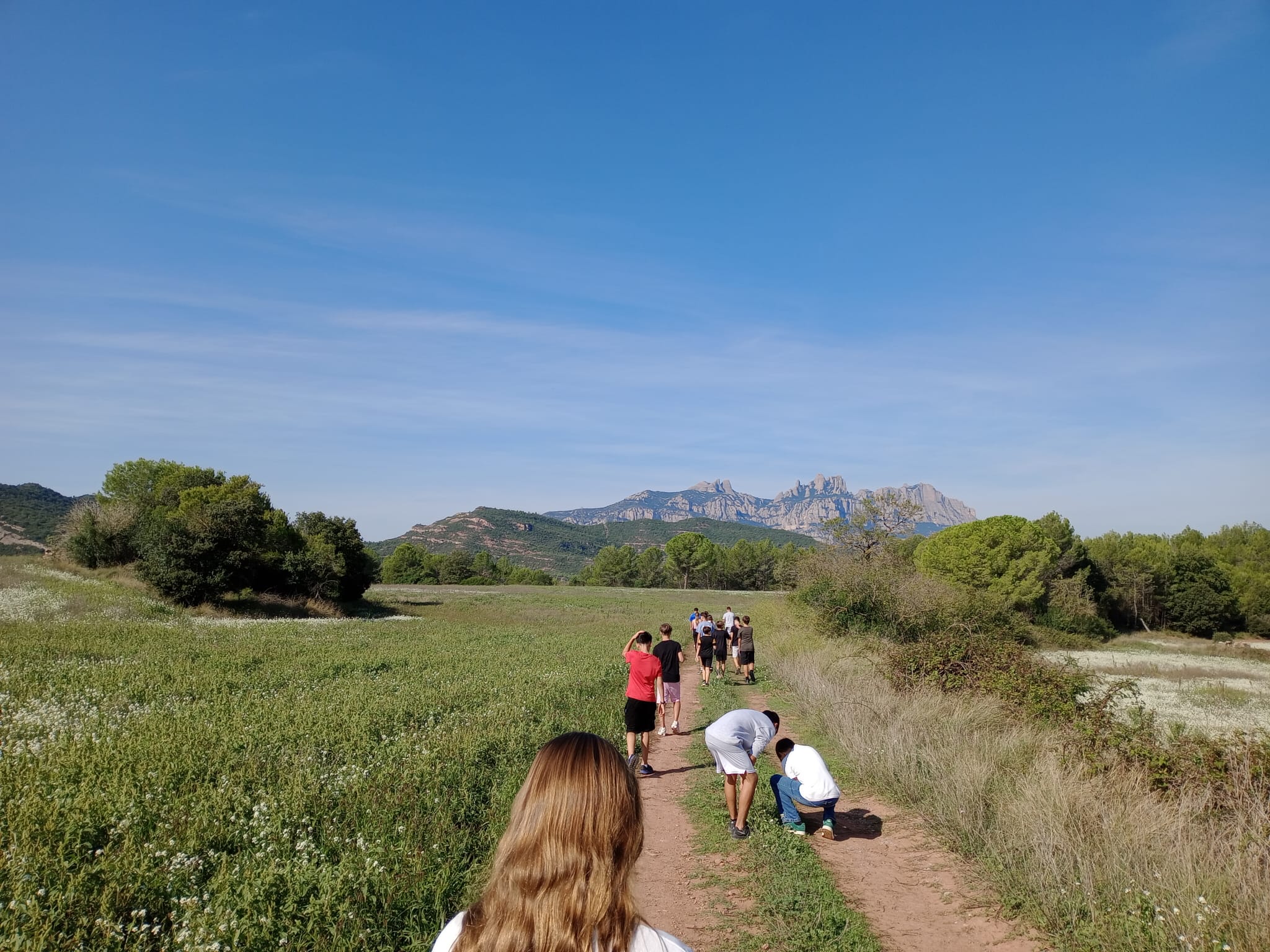 Imagen de WhatsApp 2024-09-25 a las 12.54.30_89e7e82b