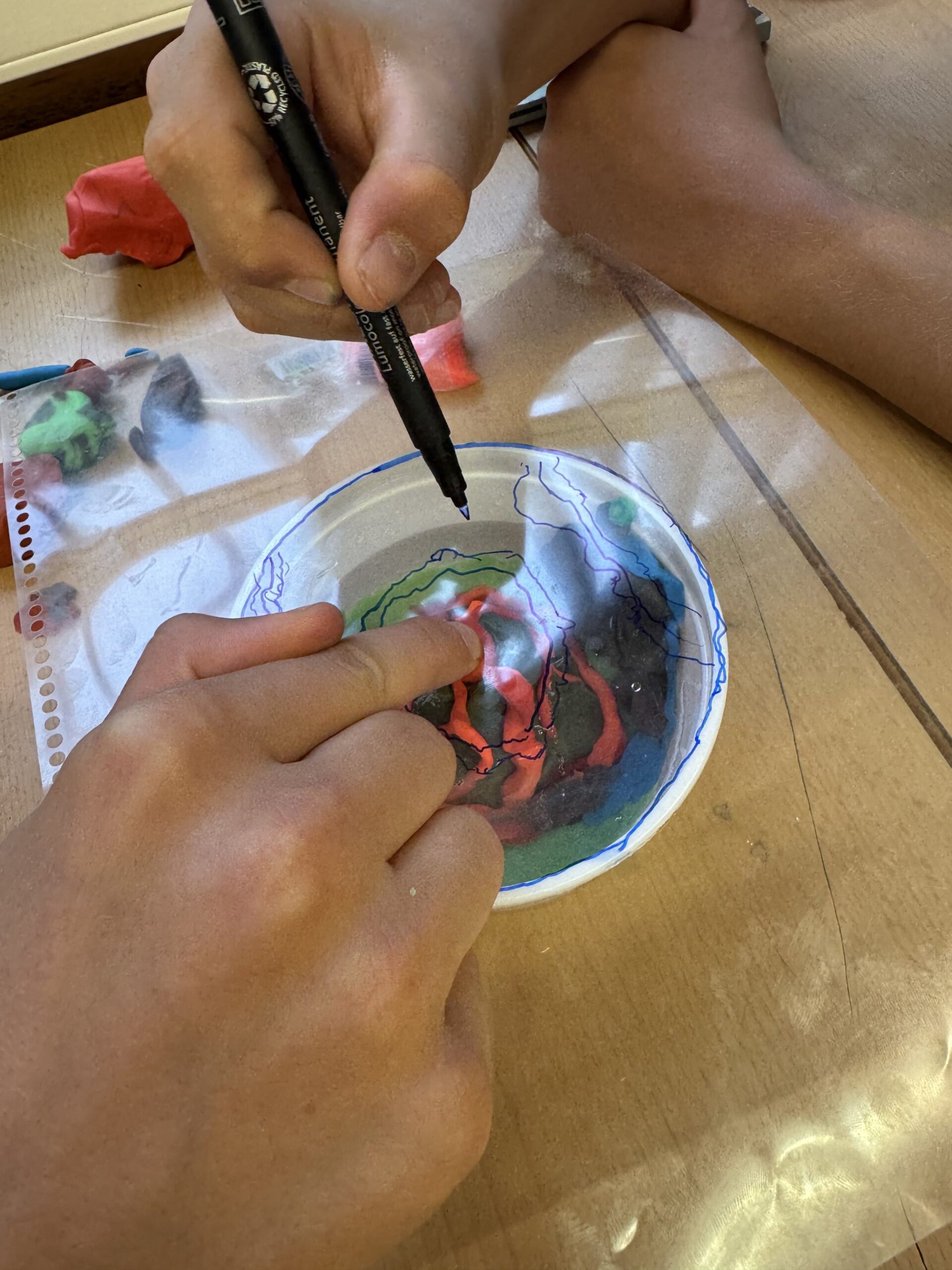 IMG_7607 - Dulce Medina Lopez (profe)-min