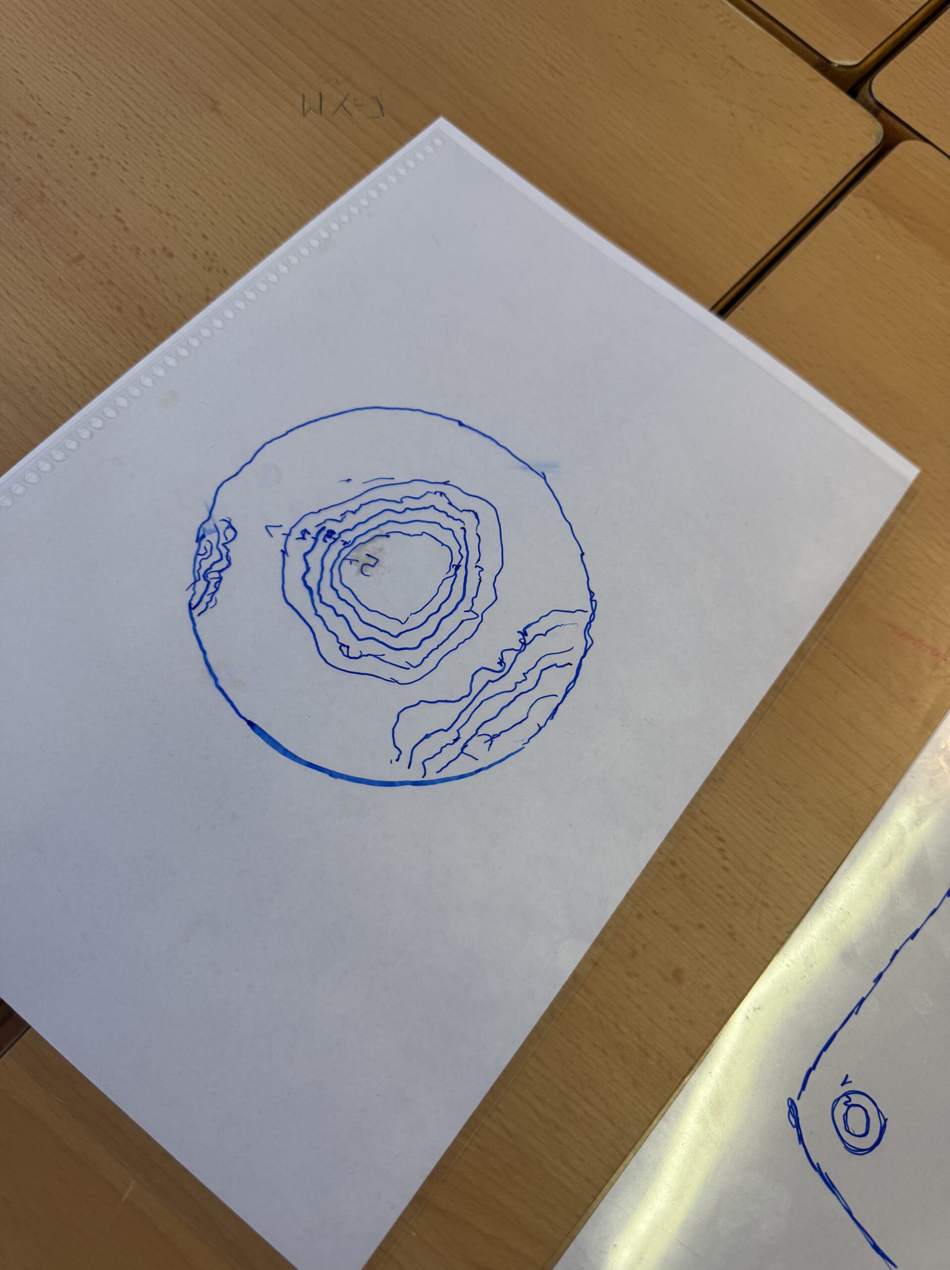 IMG_7610 - Dulce Medina Lopez (profe)-min