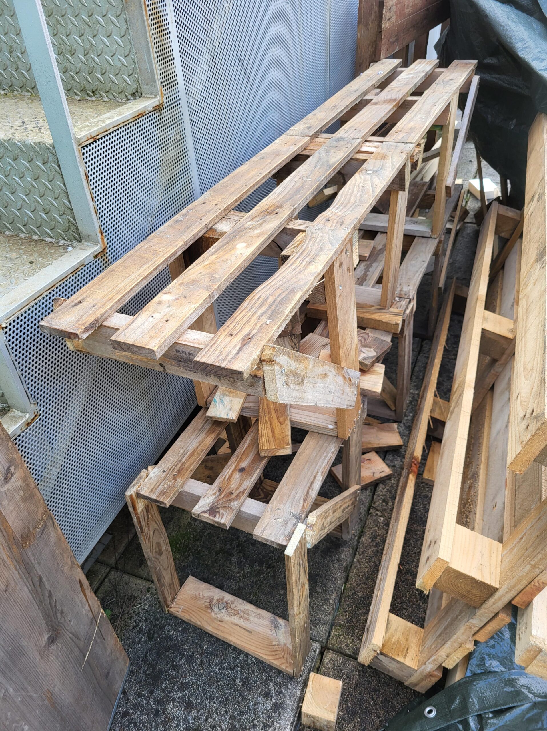 20241115_141834 - Josep Cunill (profe)-min