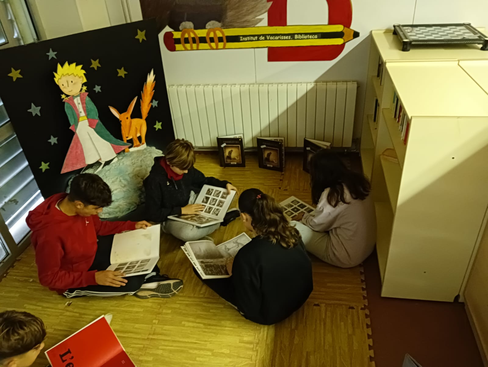 WhatsApp Image 2024-11-22 at 10.51.50