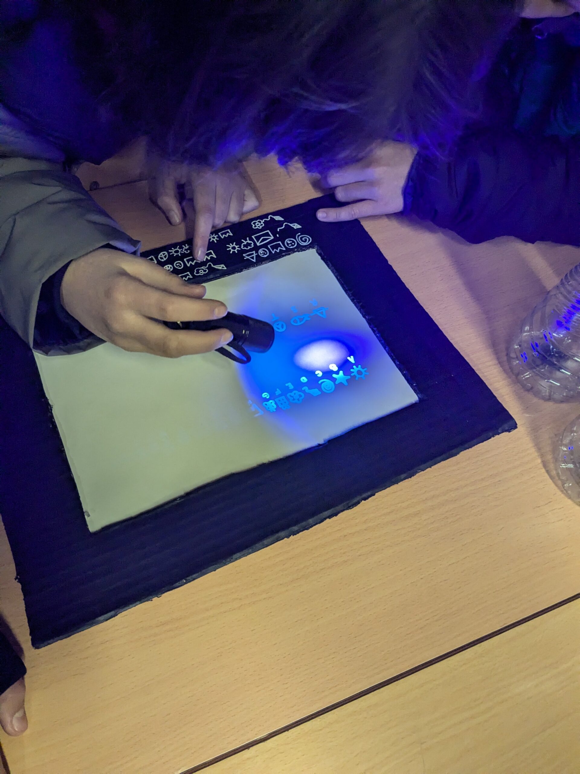 PXL_20241217_082027600-min