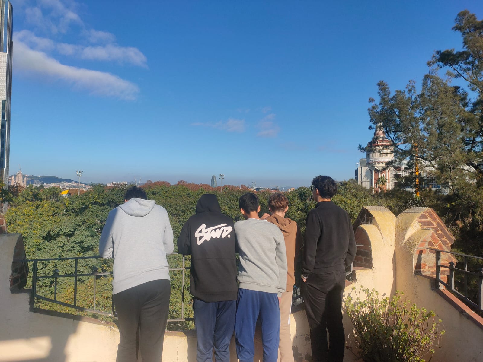 WhatsApp Image 2024-12-04 at 13.04.19 (1)